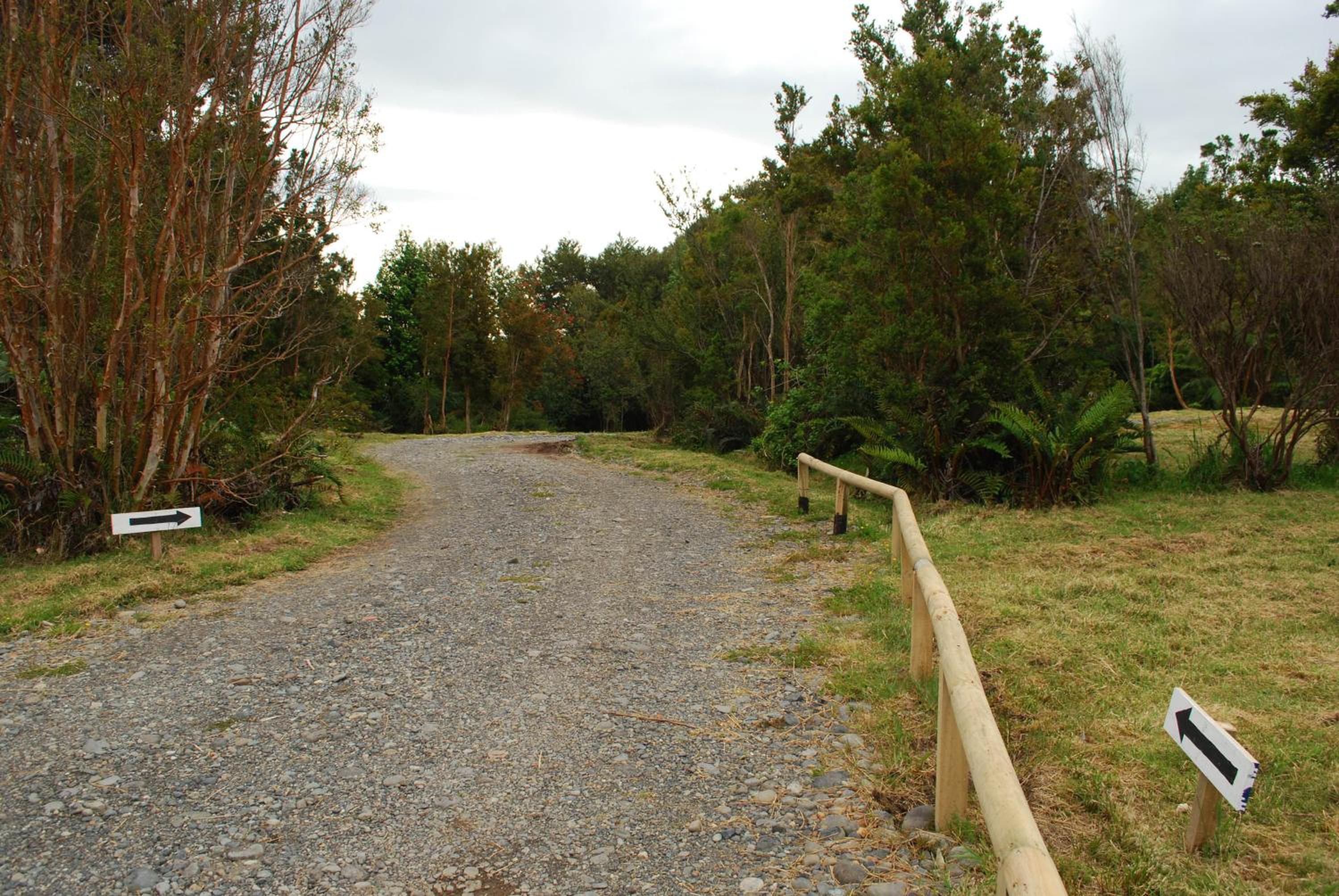 Chucao Bosque y Cabañas