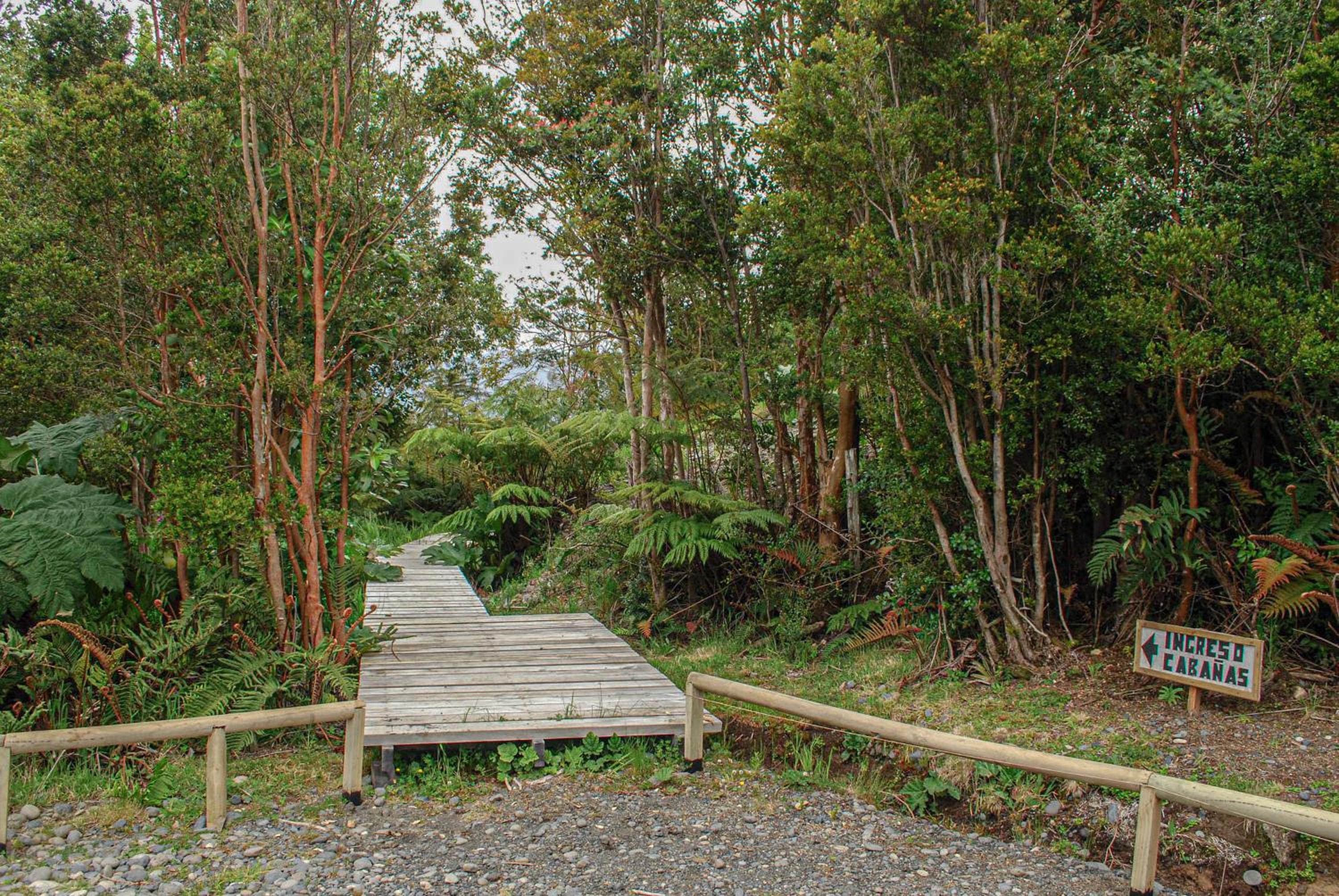 Chucao Bosque y Cabañas