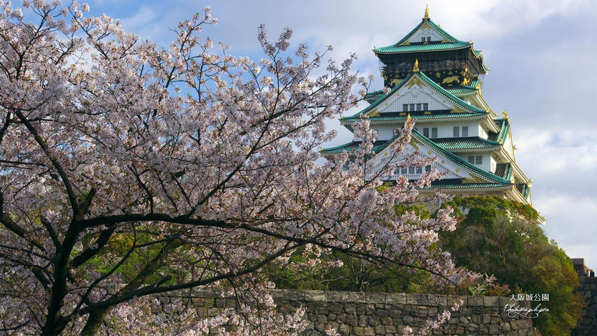 北巽サクラハウス一軒家 Sakura House Guest House Kitatatsumi 最大16名