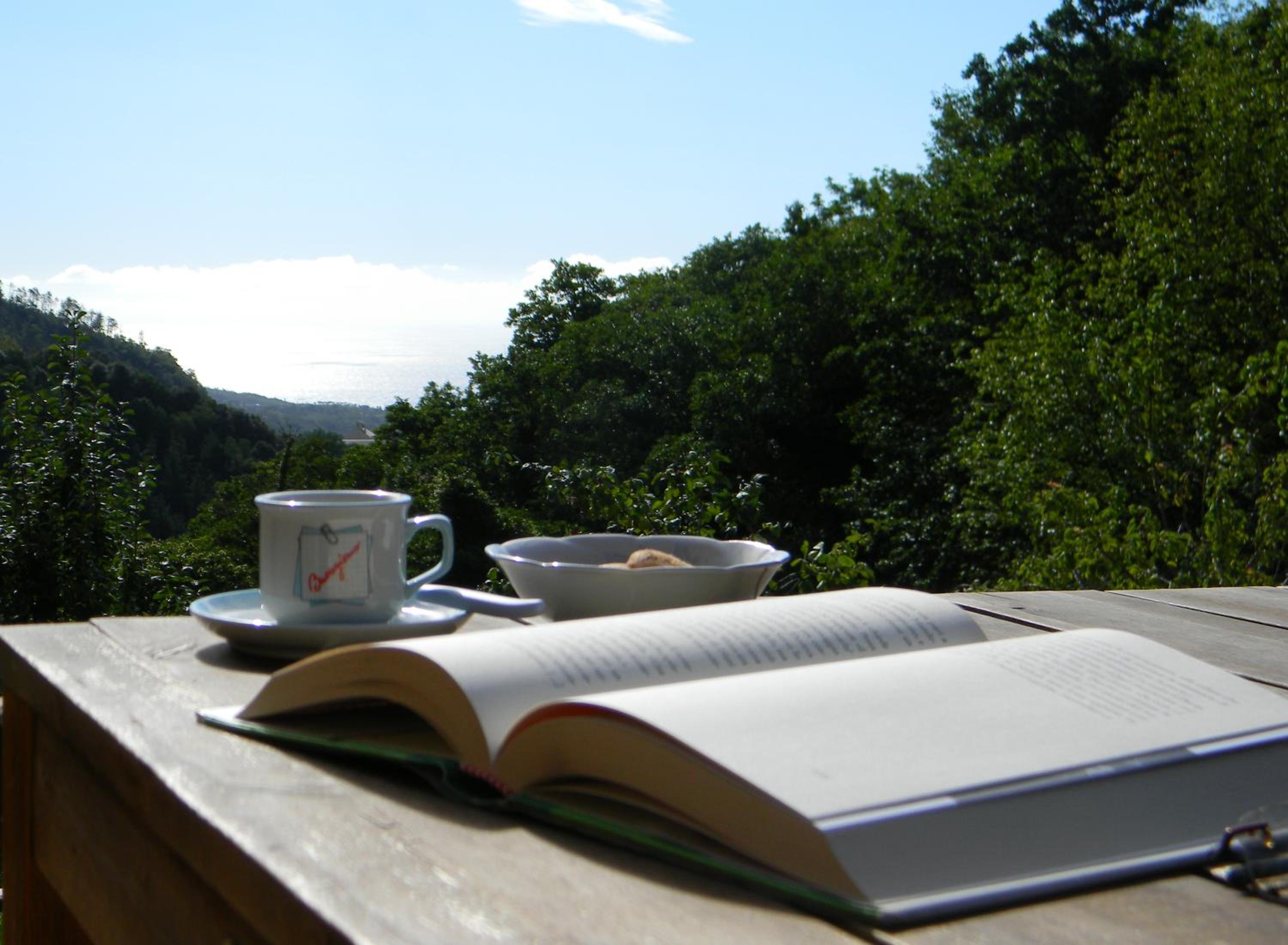 Varazze Sea-Mountain photo 3