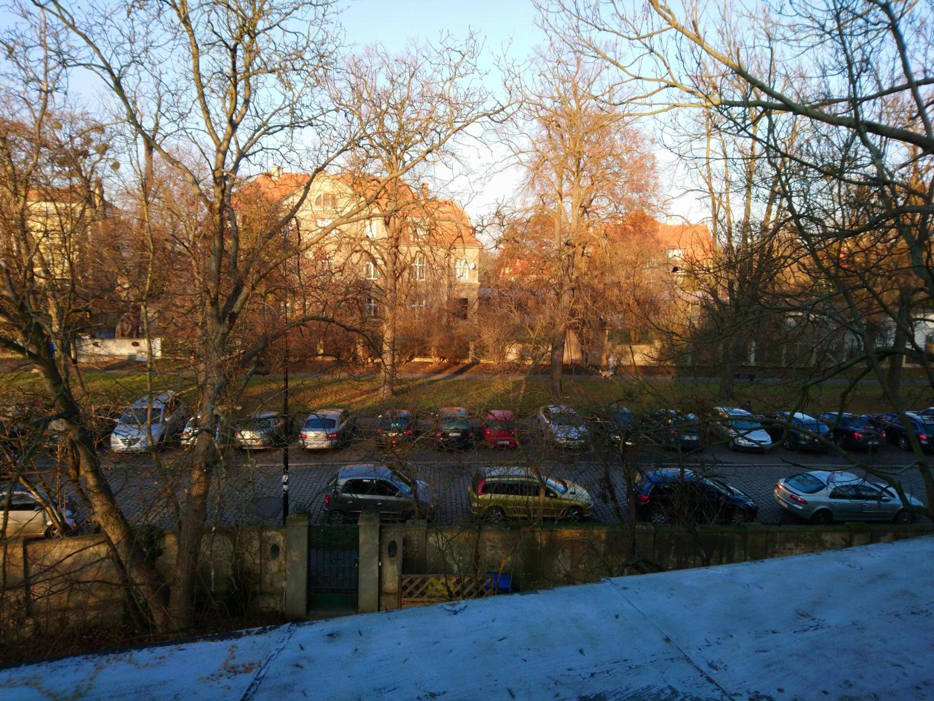 FurHouse, photo 17