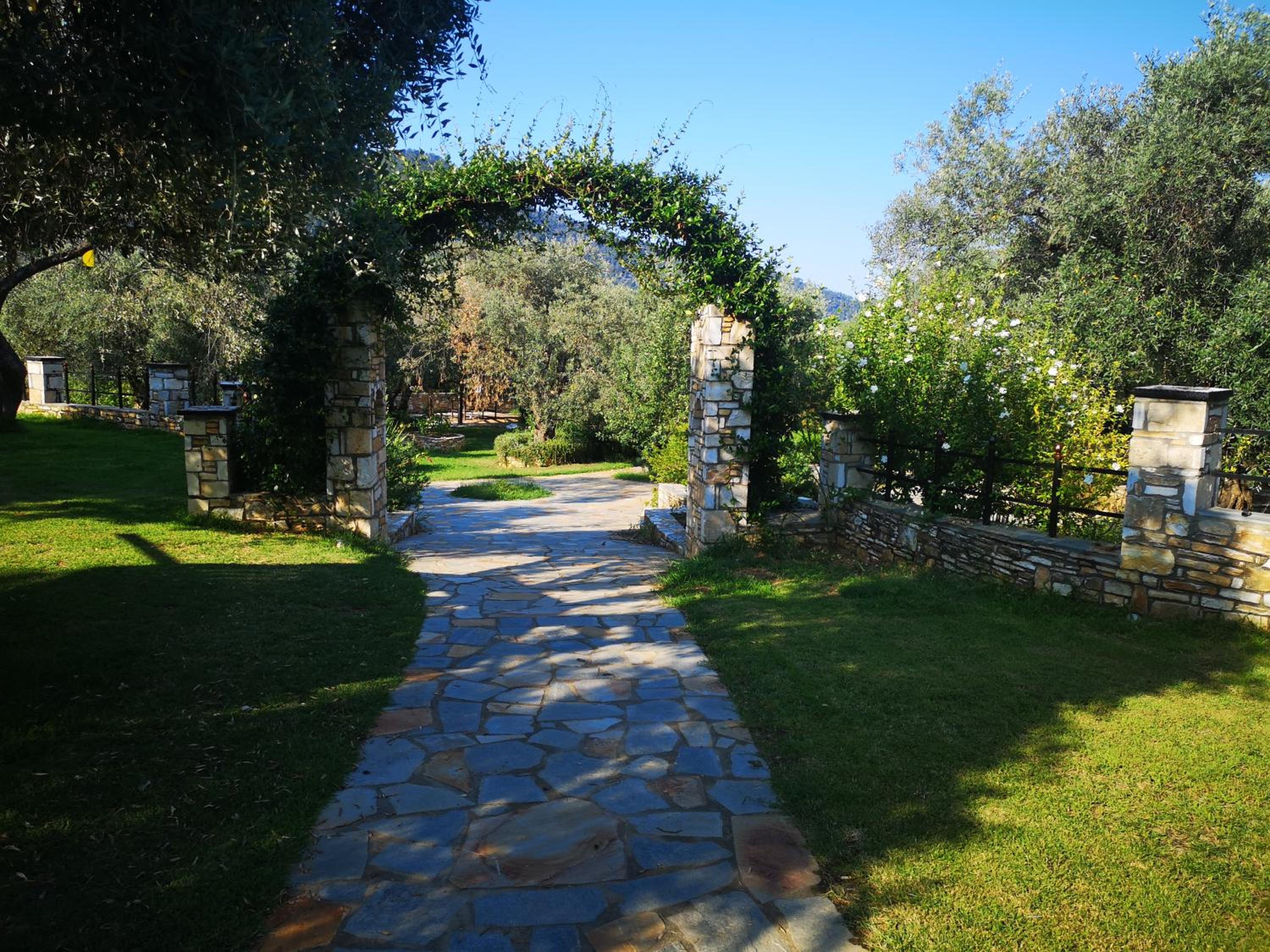 Photo 25