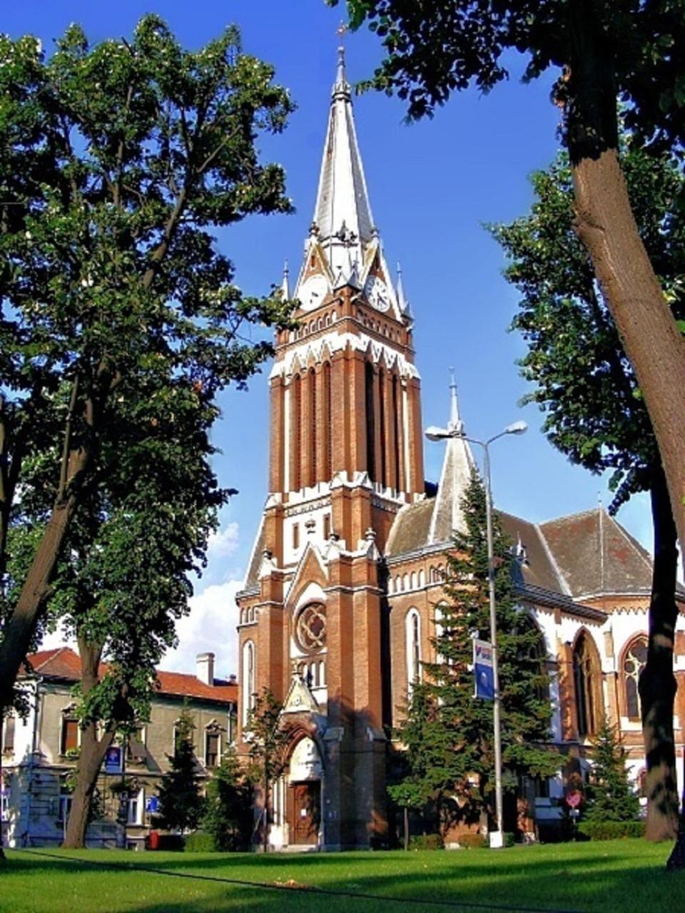 Photo 31