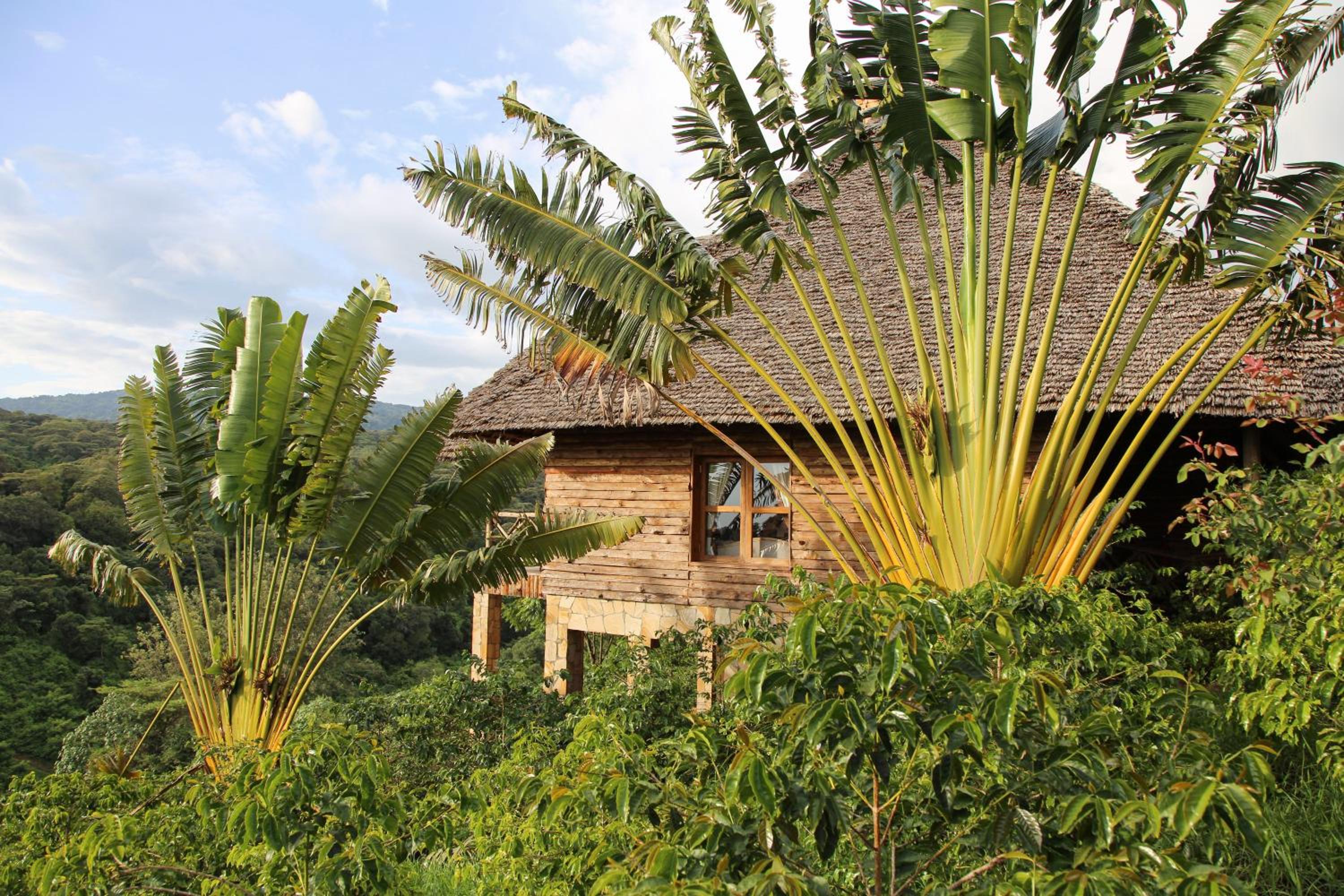 Neptune Ngorongoro Luxury Lodge - All Inclusive view 4