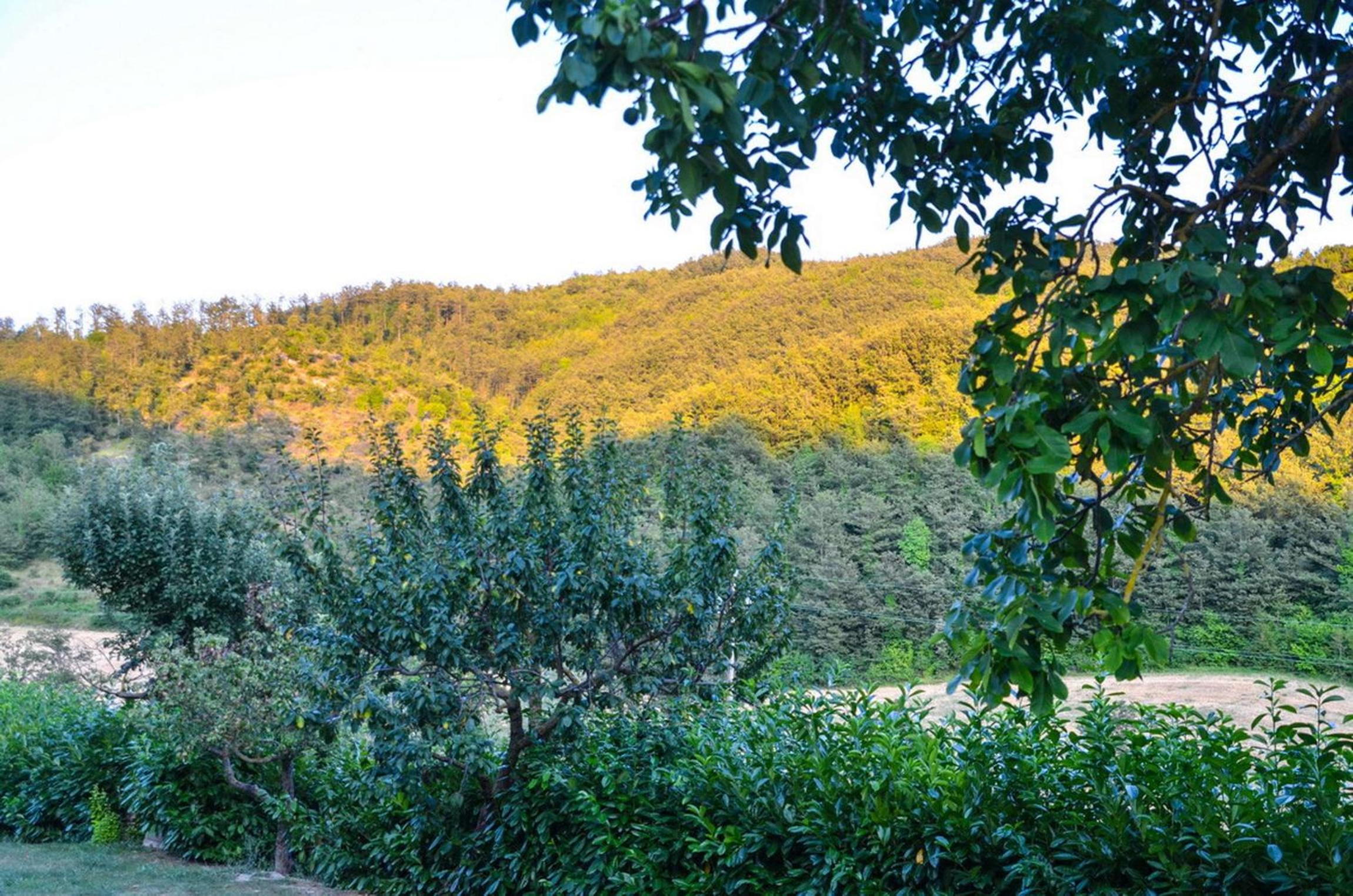 Agriturismo Cailuca