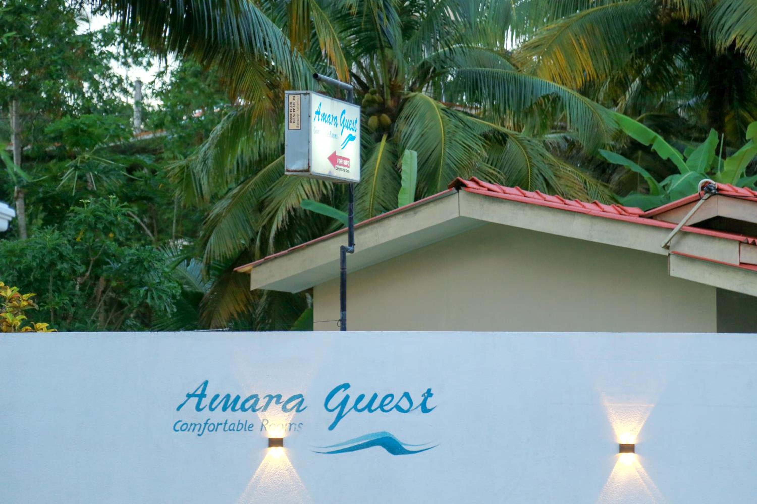 Amara Guest