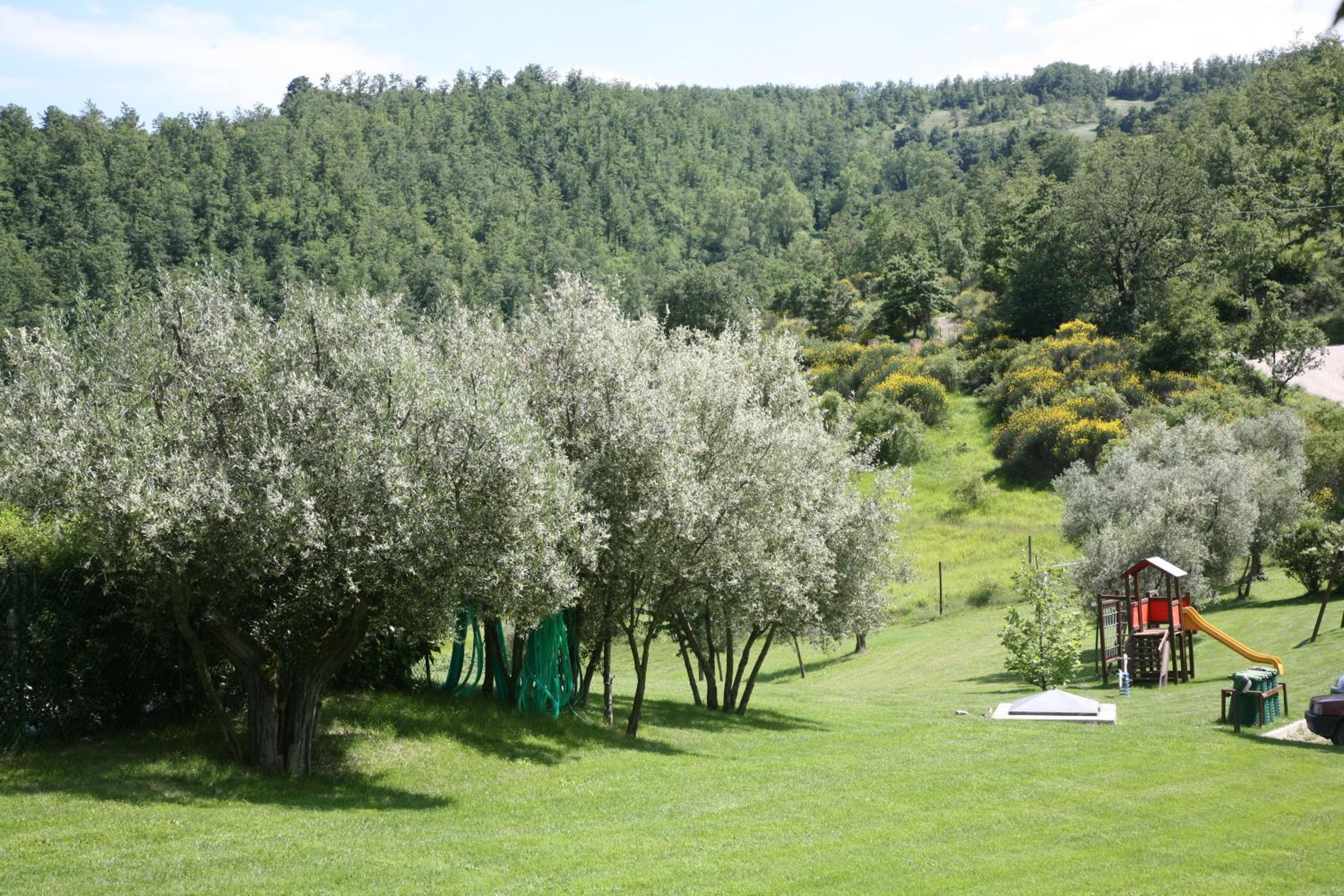 Agriturismo Casalta