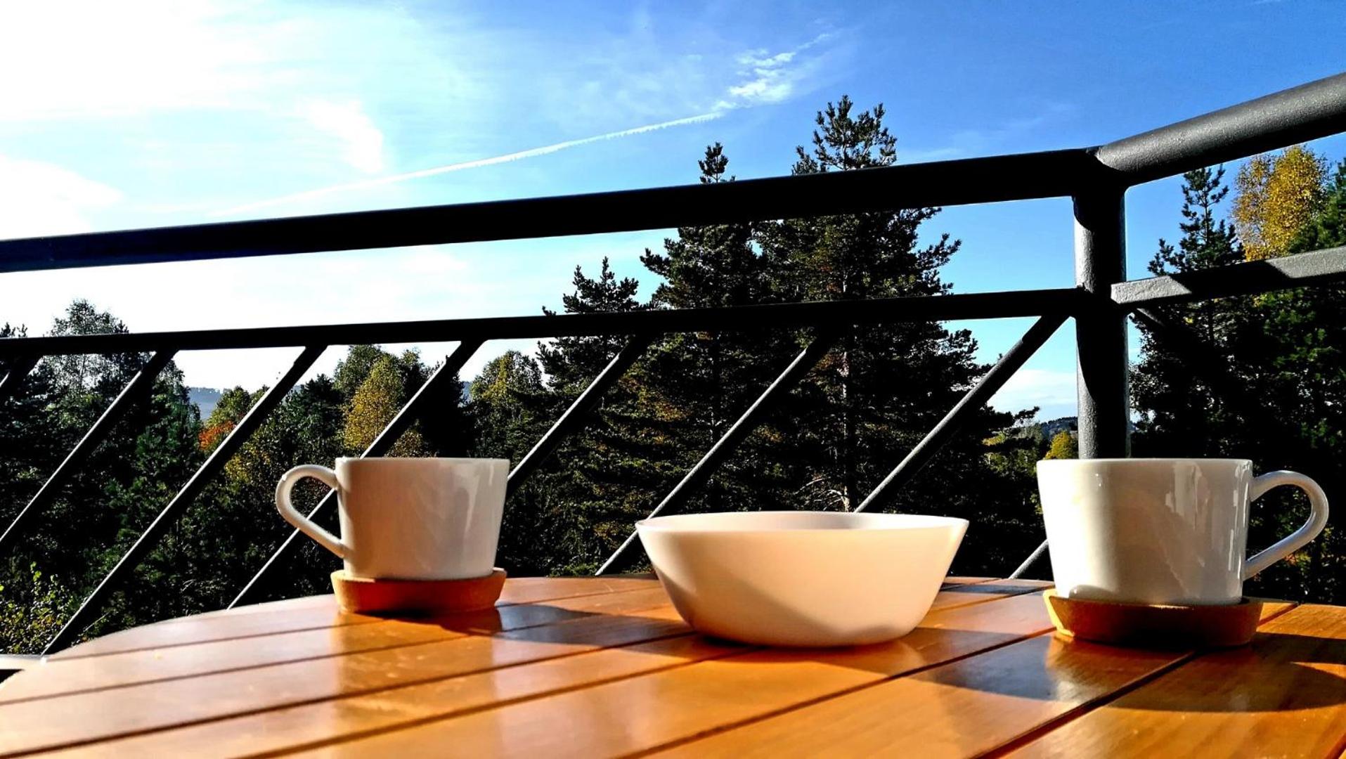 Studio apartman ENJOY Divčibare