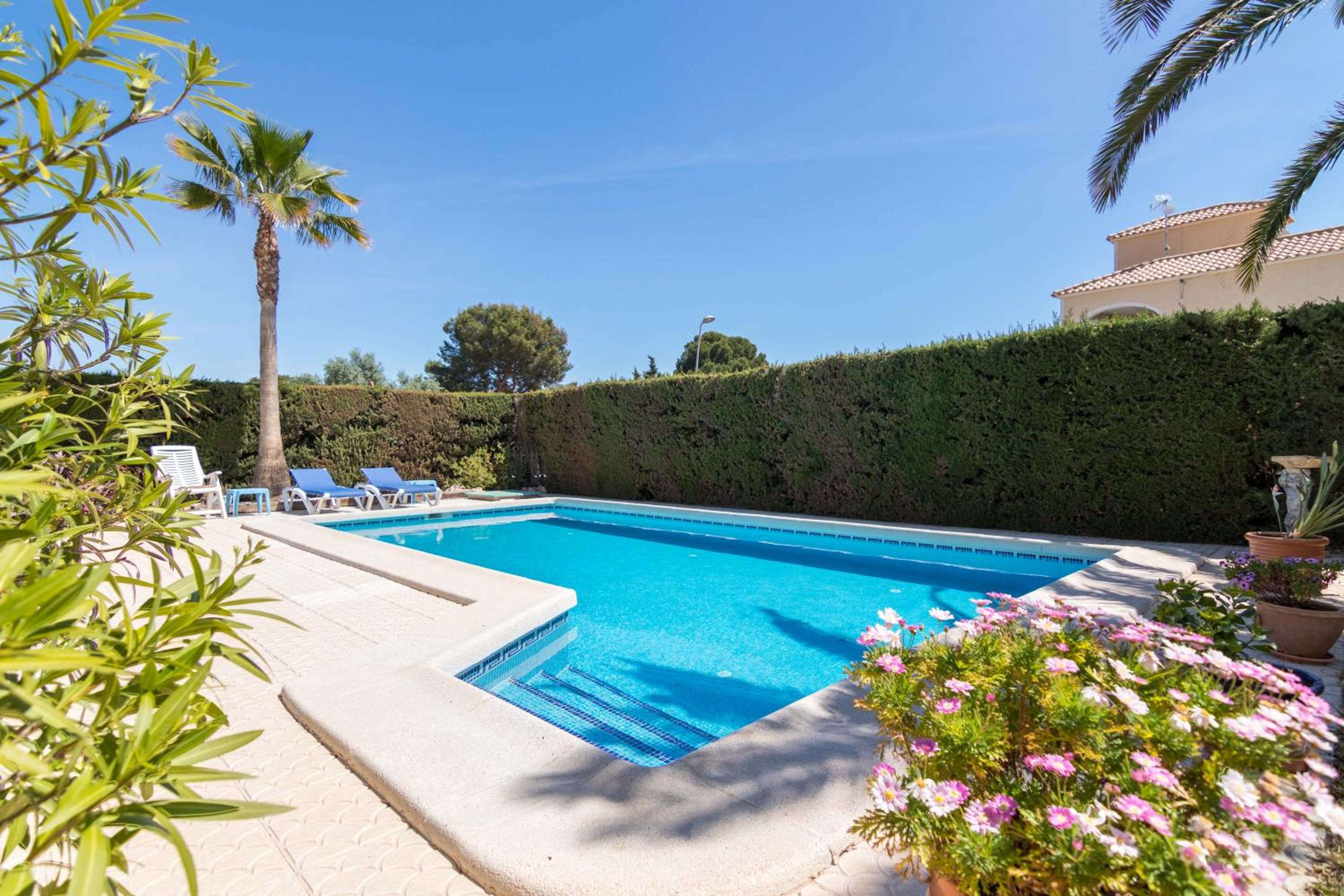 Charming one-floor villa with private pool in Los Balcones photo 4