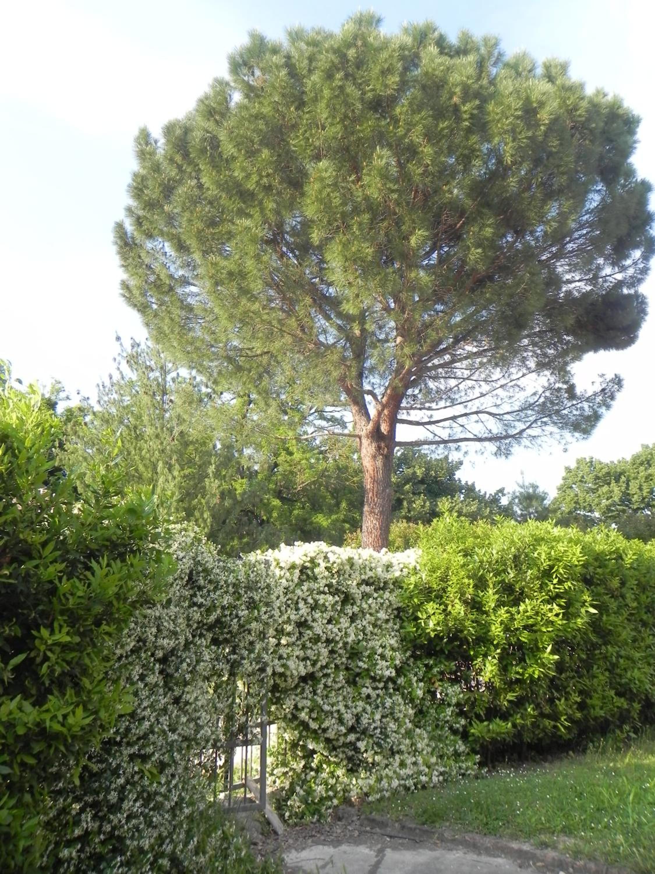Caterina Residence, photo 12