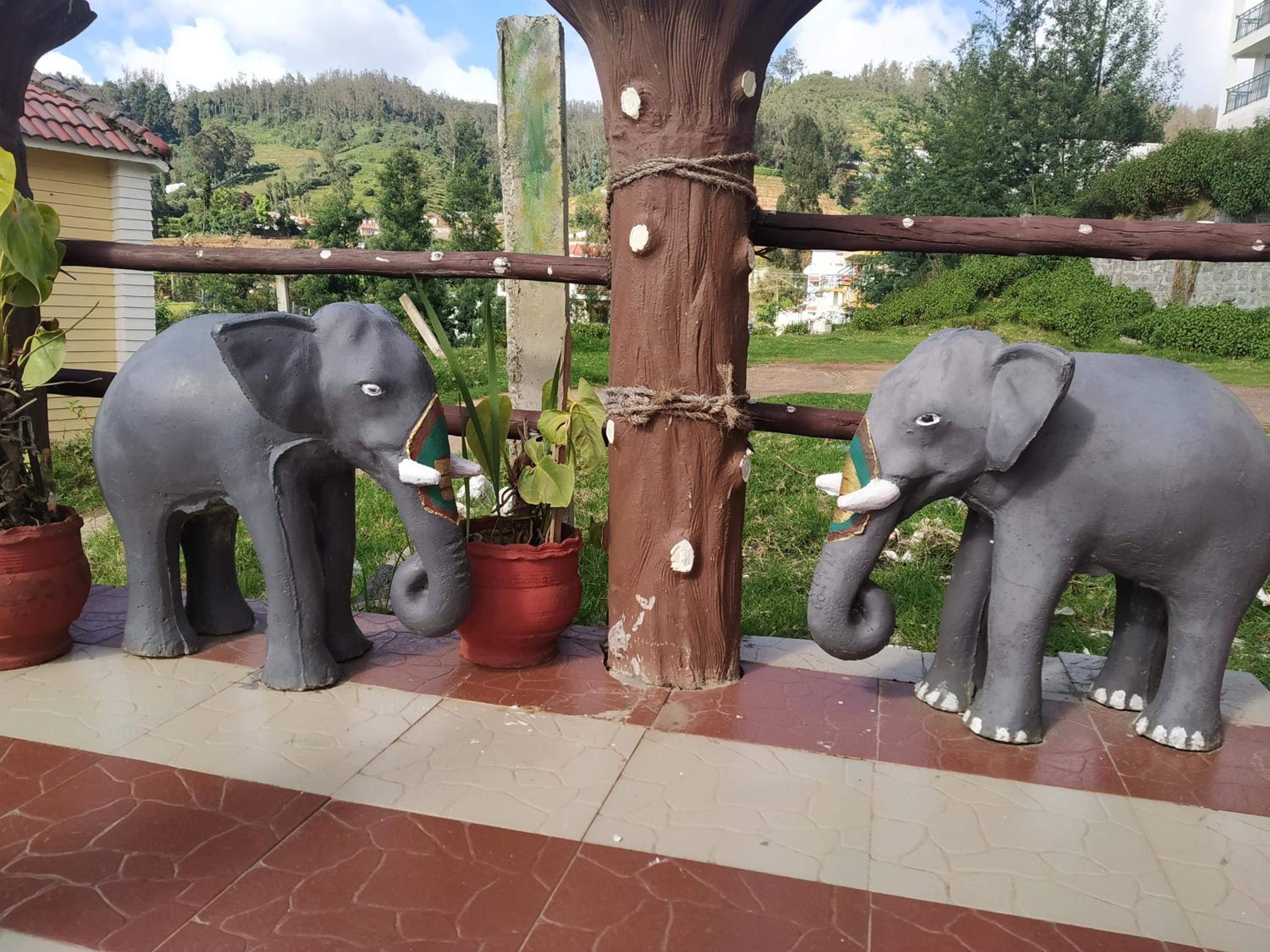 A Ooty Honey Huts