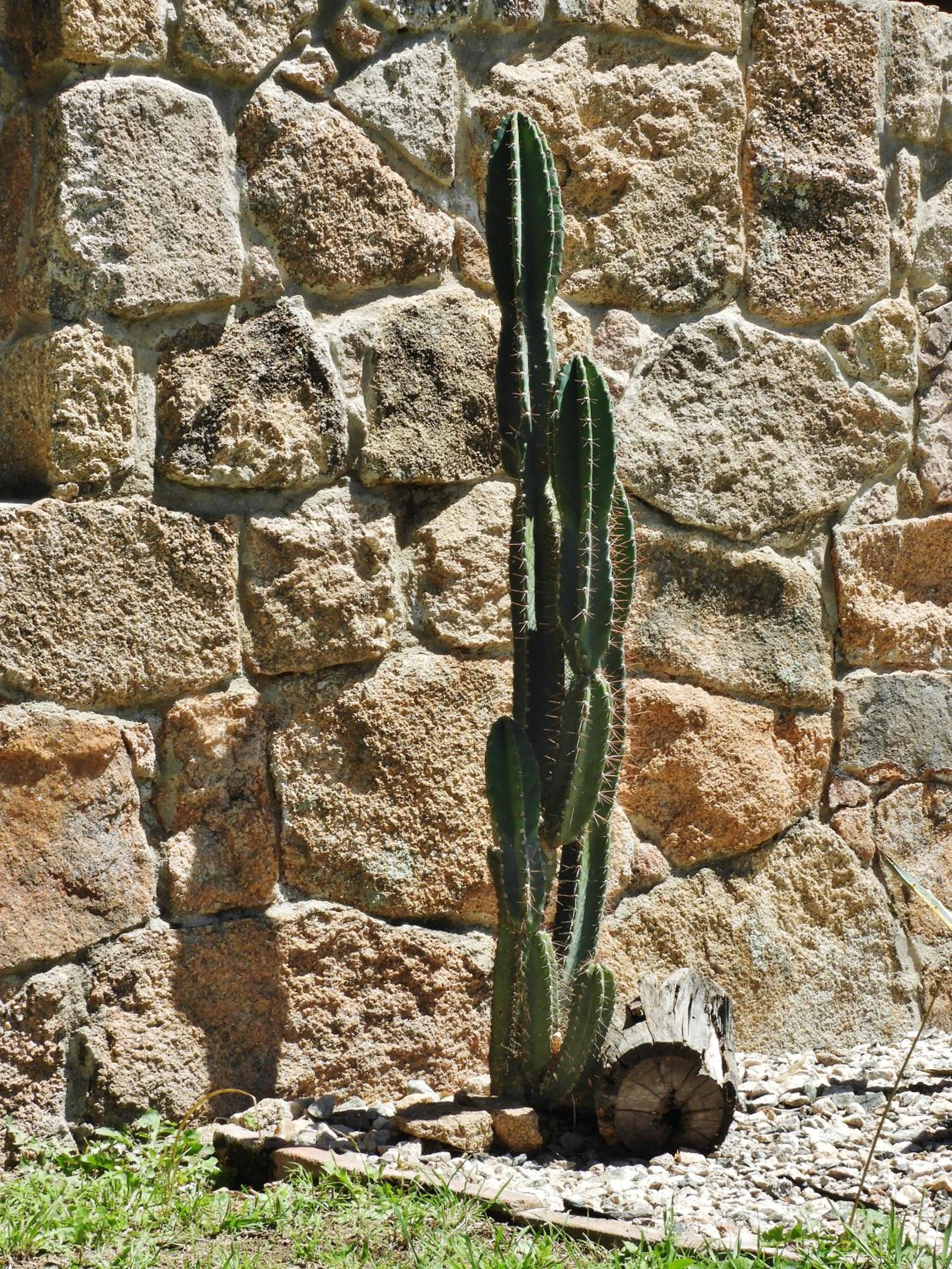 Posada Terracota