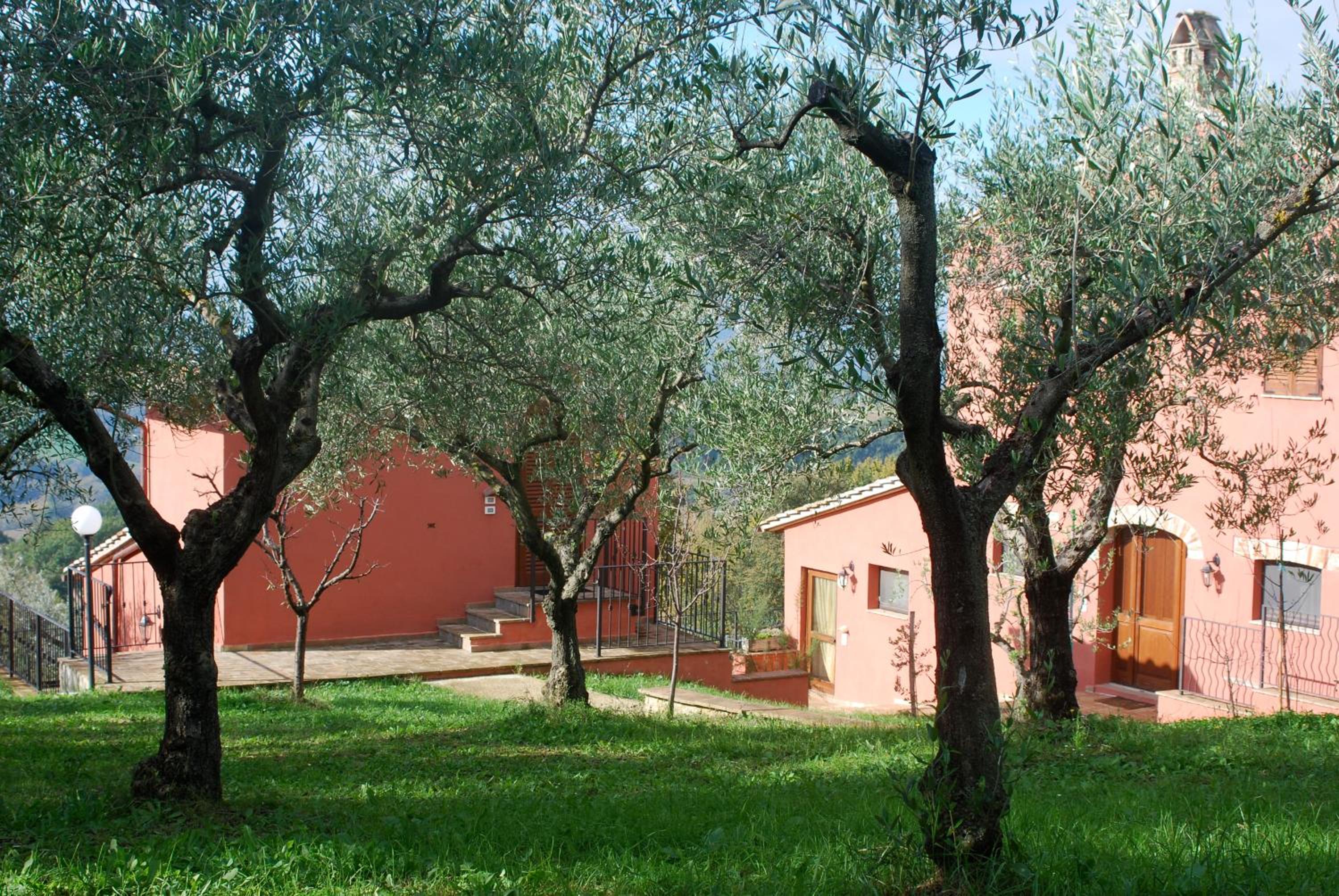 Tenuta San Savino delle Rocchette