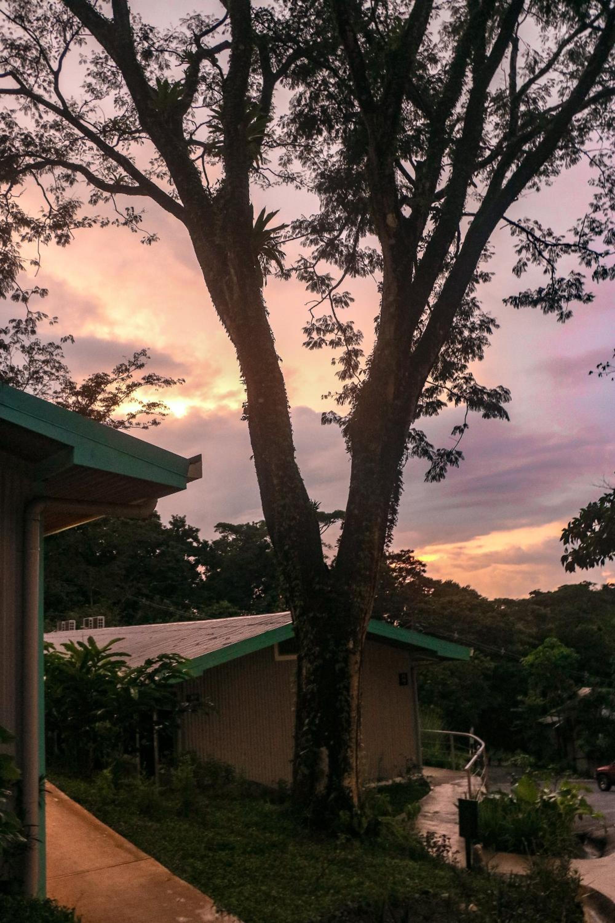 Teva Hotel & Jungle Reserve