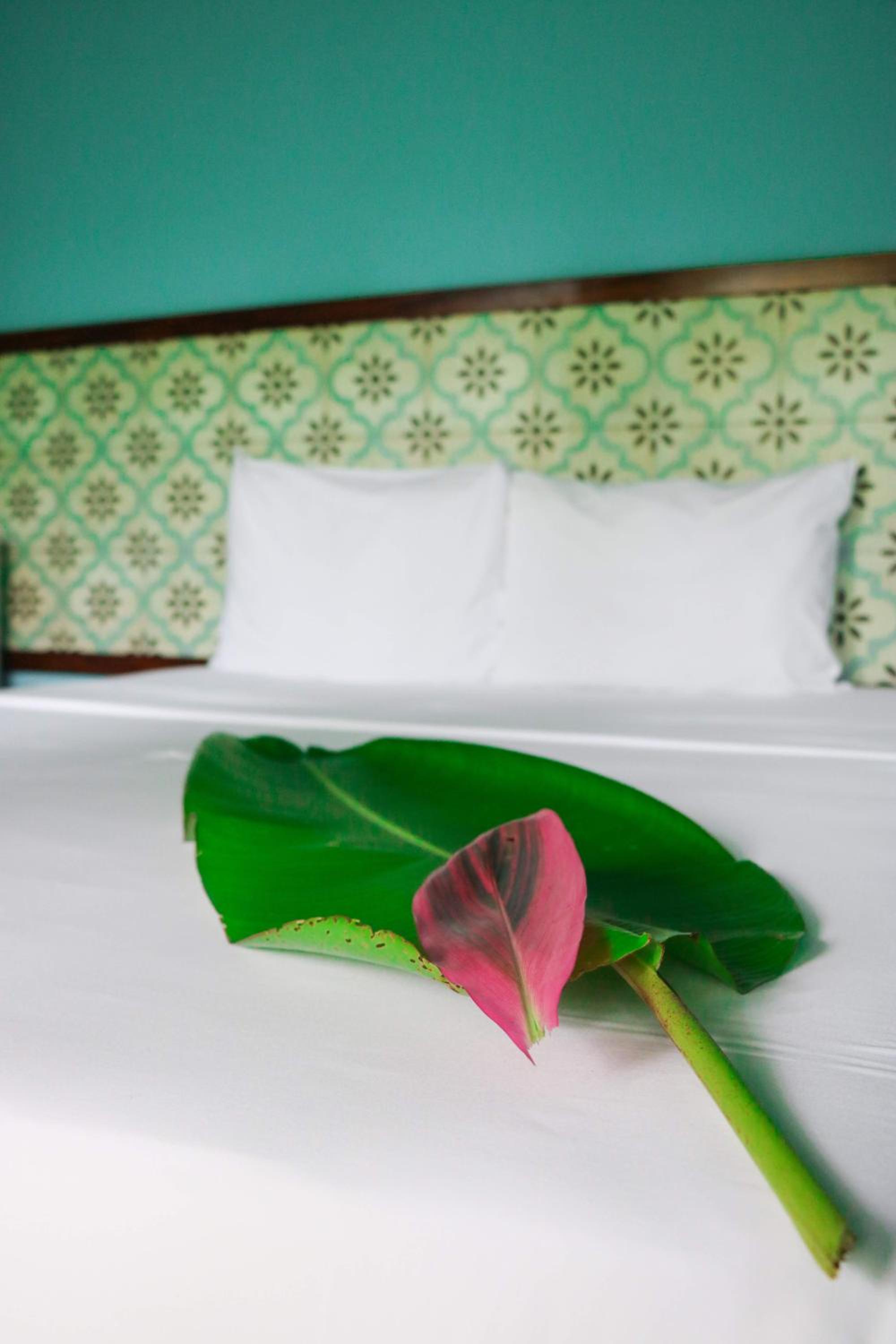 Teva Hotel & Jungle Reserve