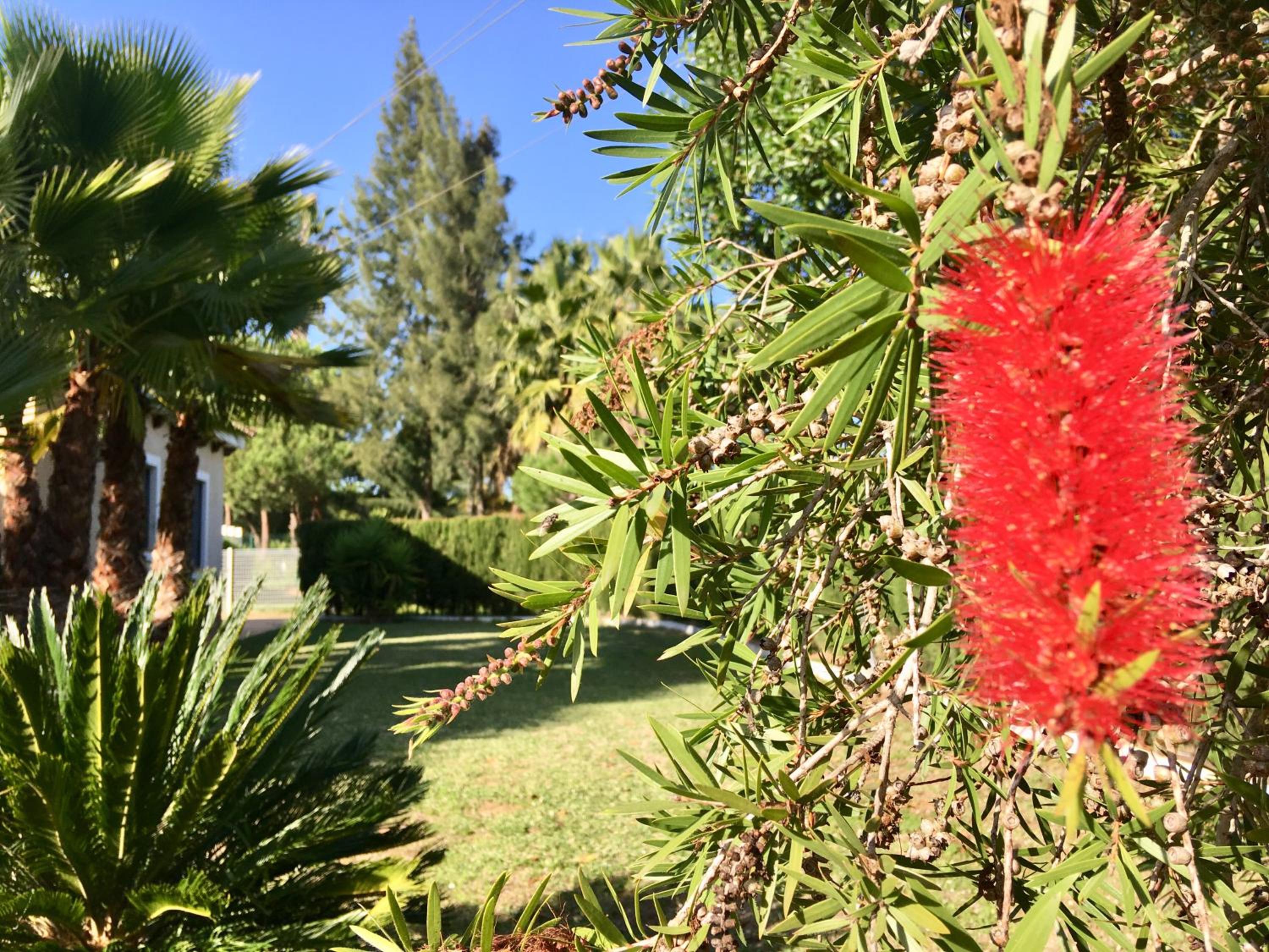 Villa Dorotea view 2