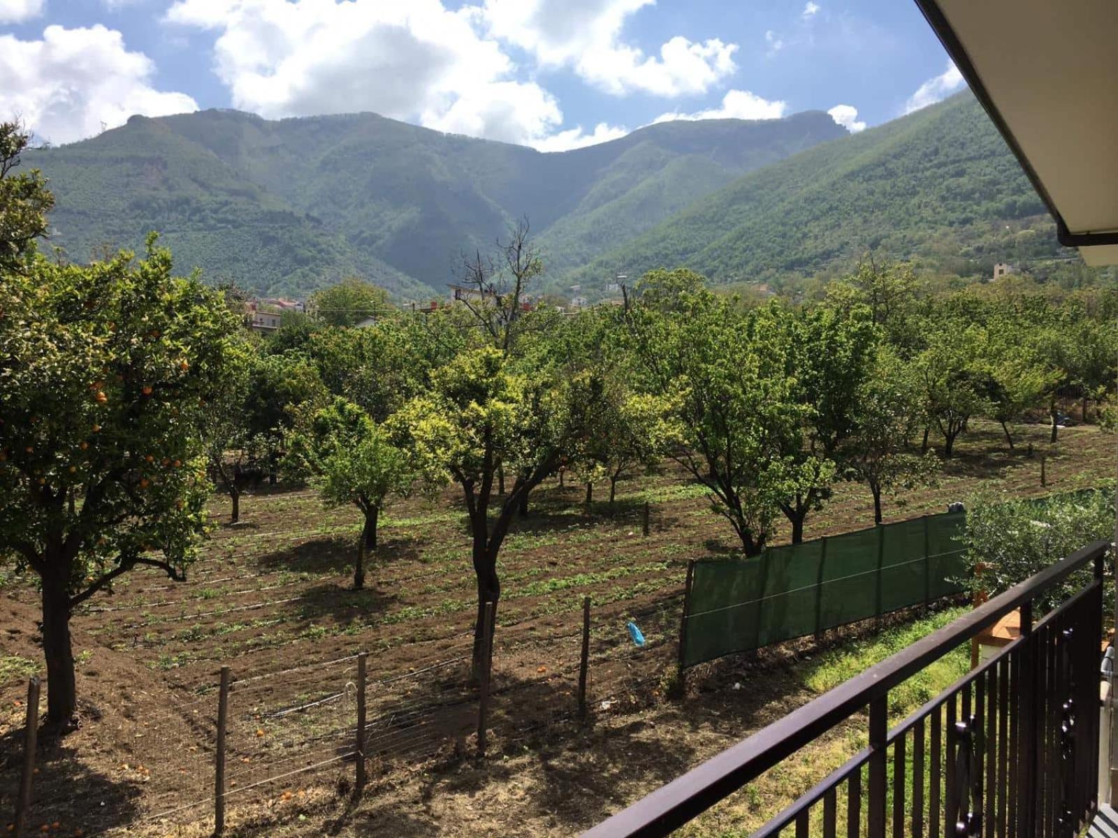 B & B Evergreen view 2