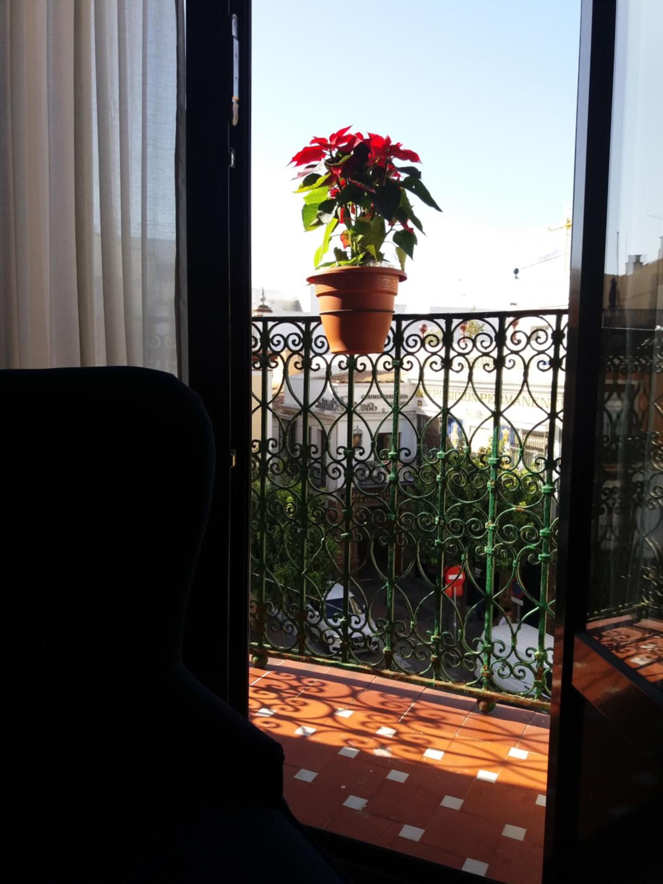 Casa Mora Triana