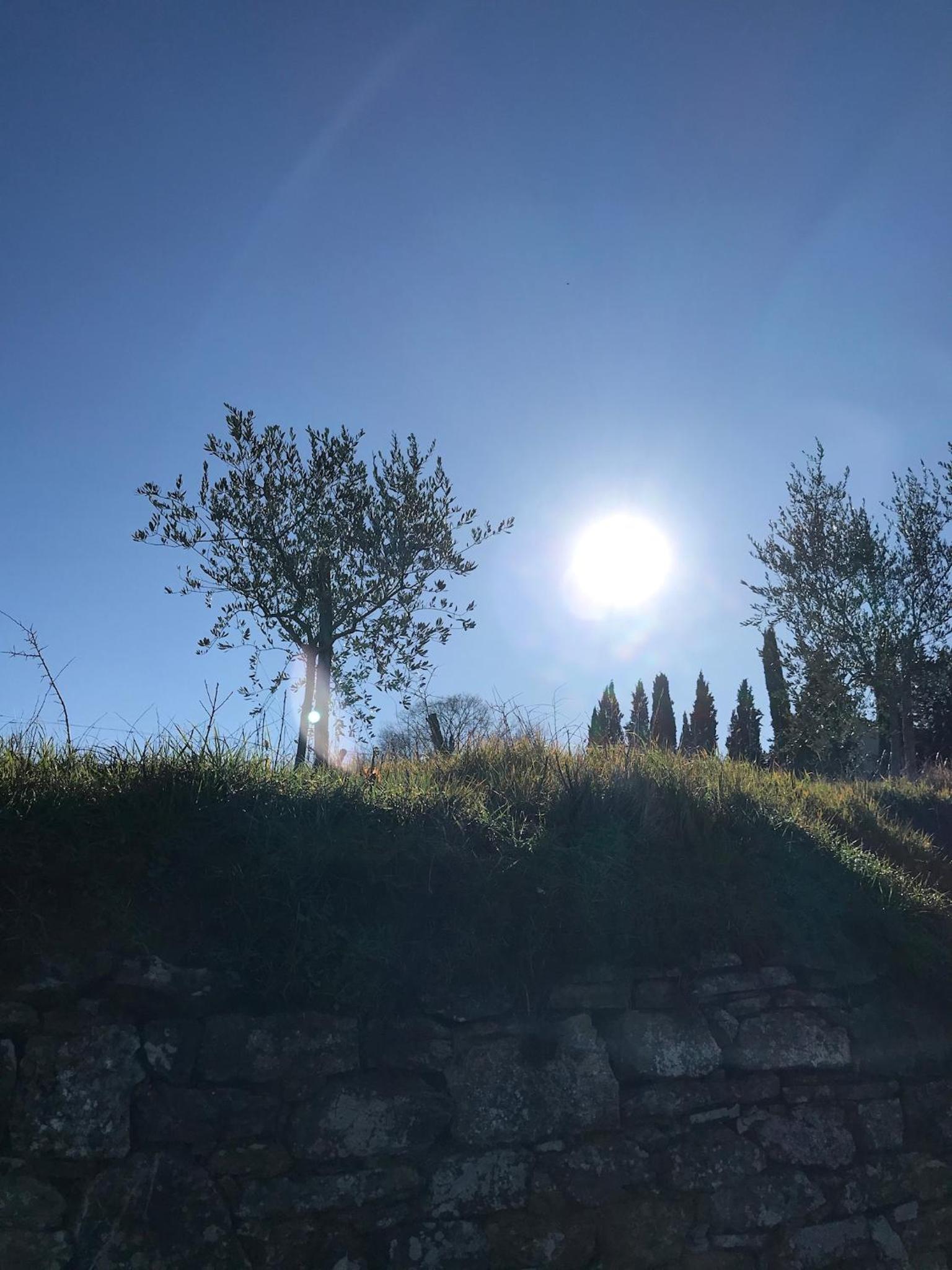Paola's Villa, Tuscany view 2