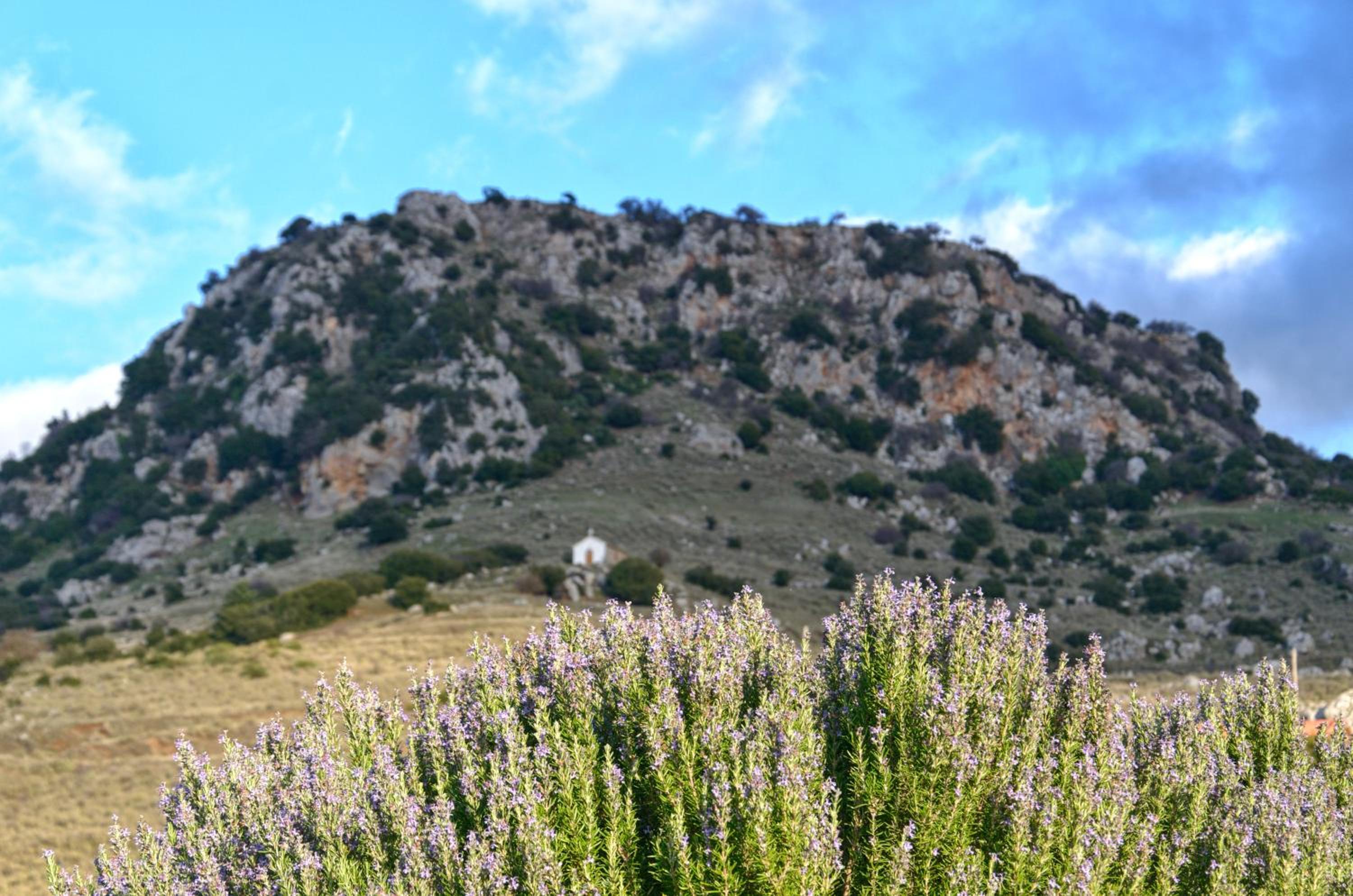 Photo 21