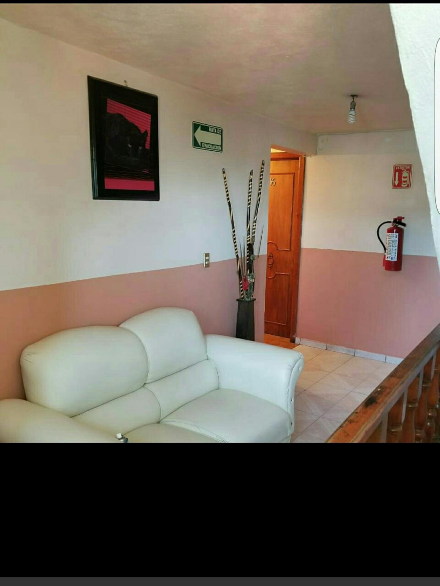 Hotel Plaza, photo 15