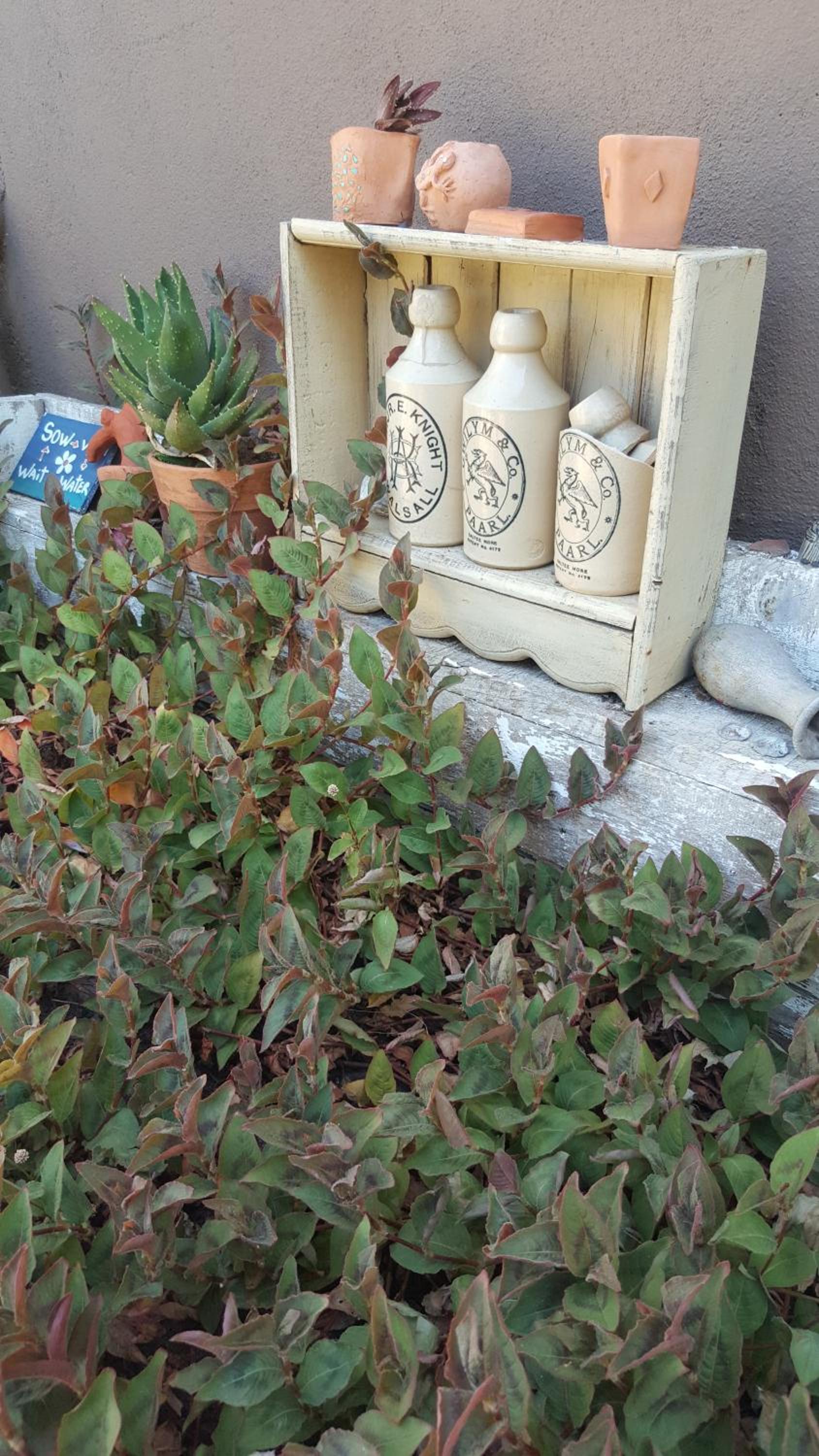 Photo 40