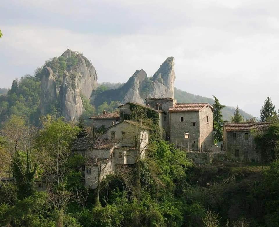Photo 43