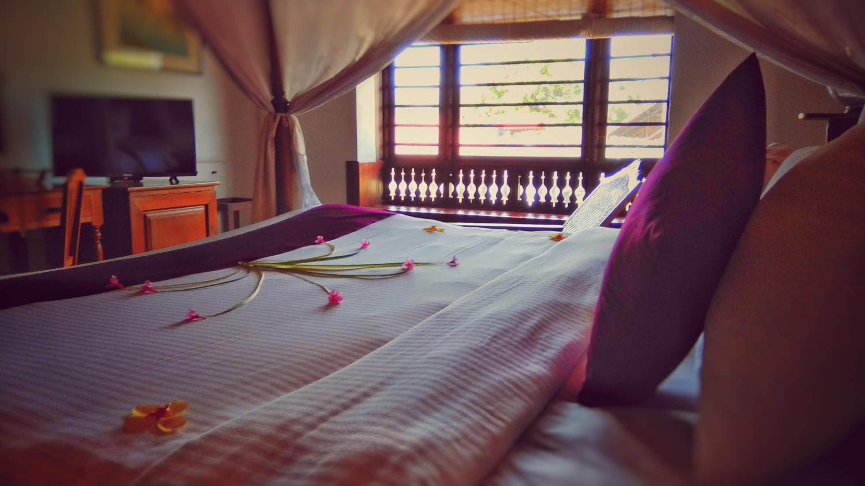 Punnamada Resort, photo 56