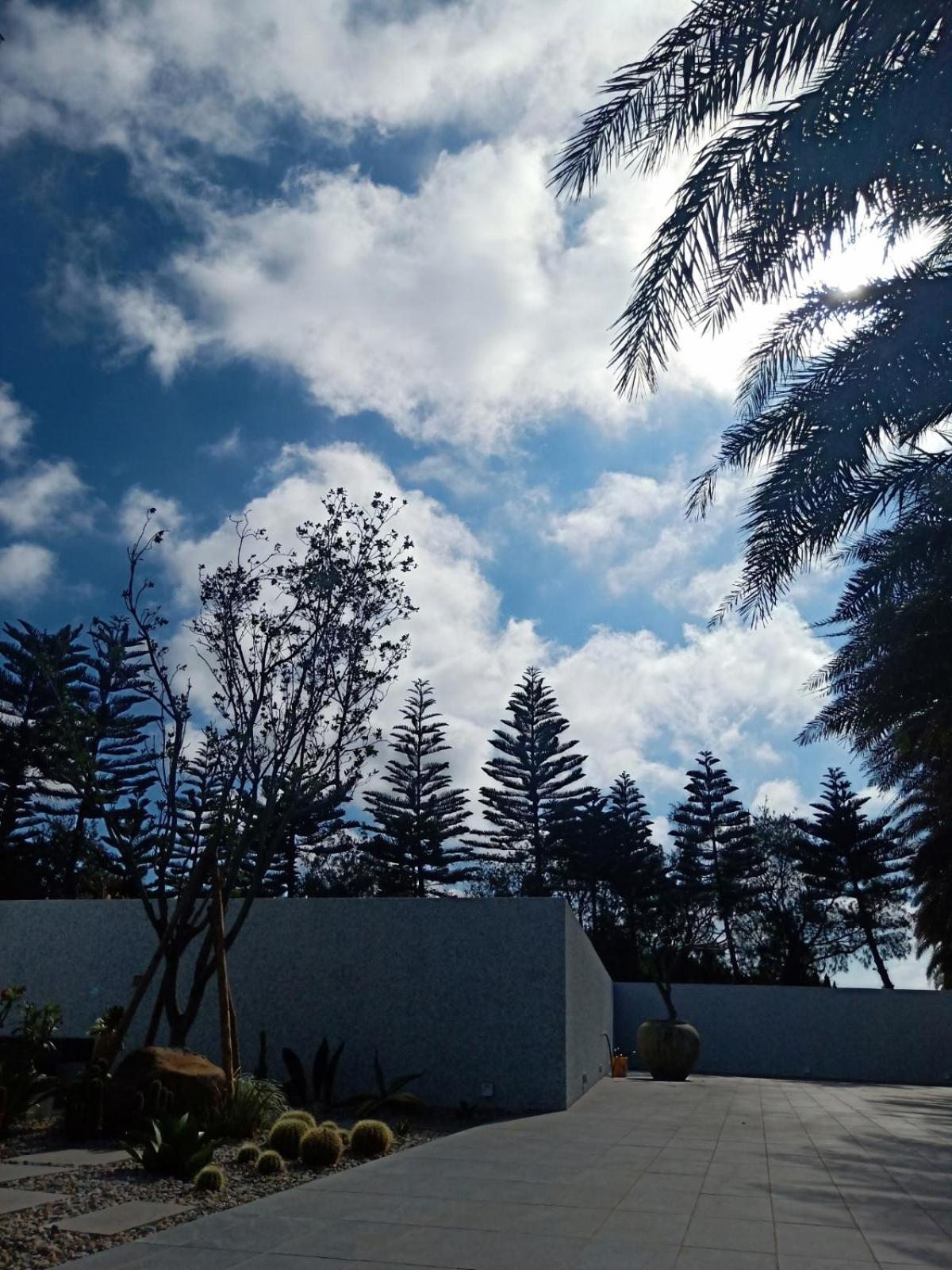 Photo 100