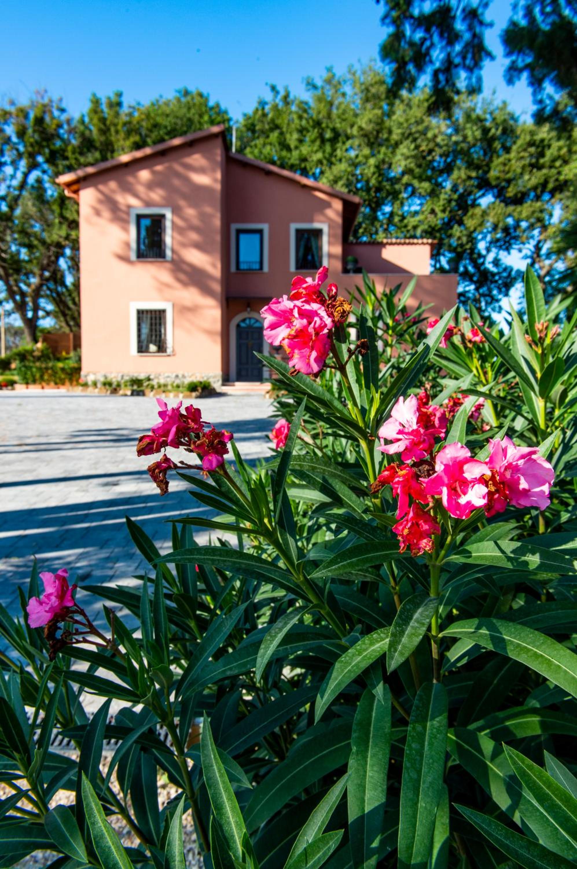 Tenuta San Sebastiano