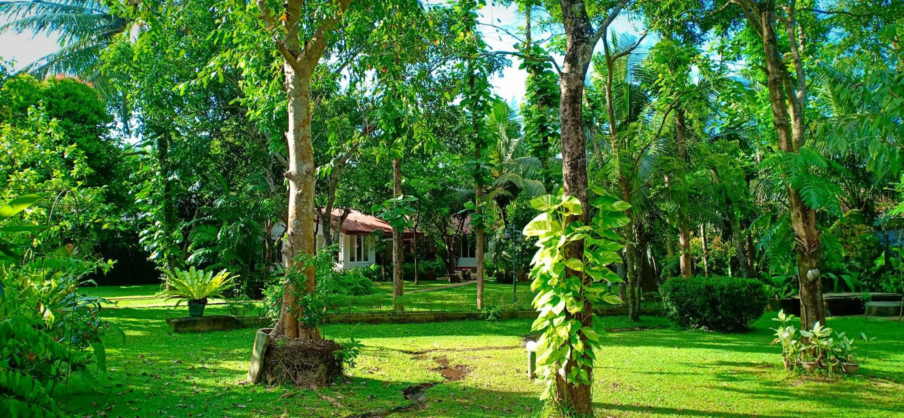 Mango House Japanese Guest House view 2