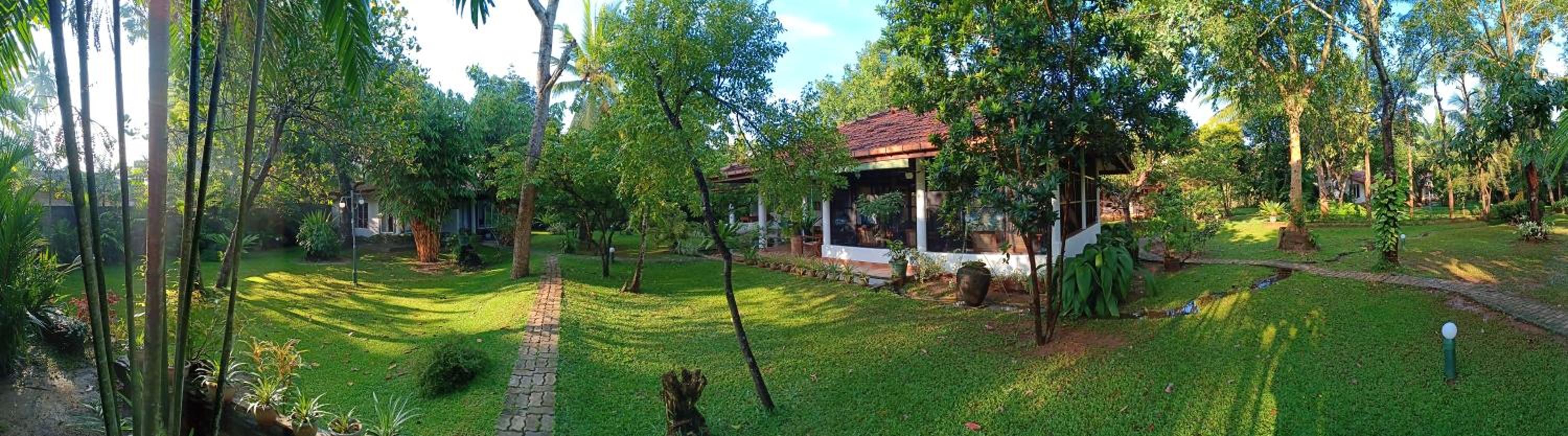Mango House Japanese Guest House view 4