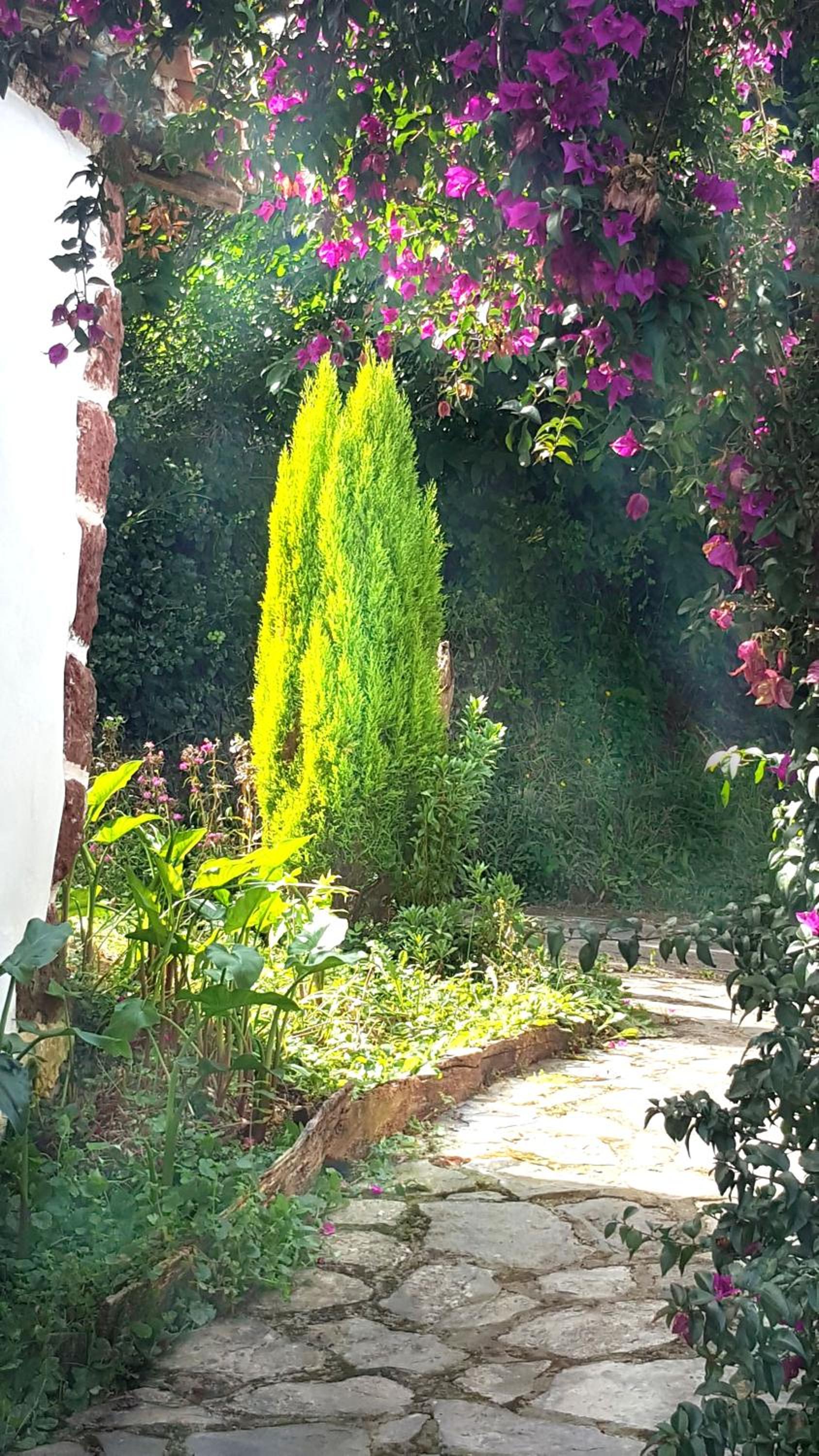 Apartamentos Villar
