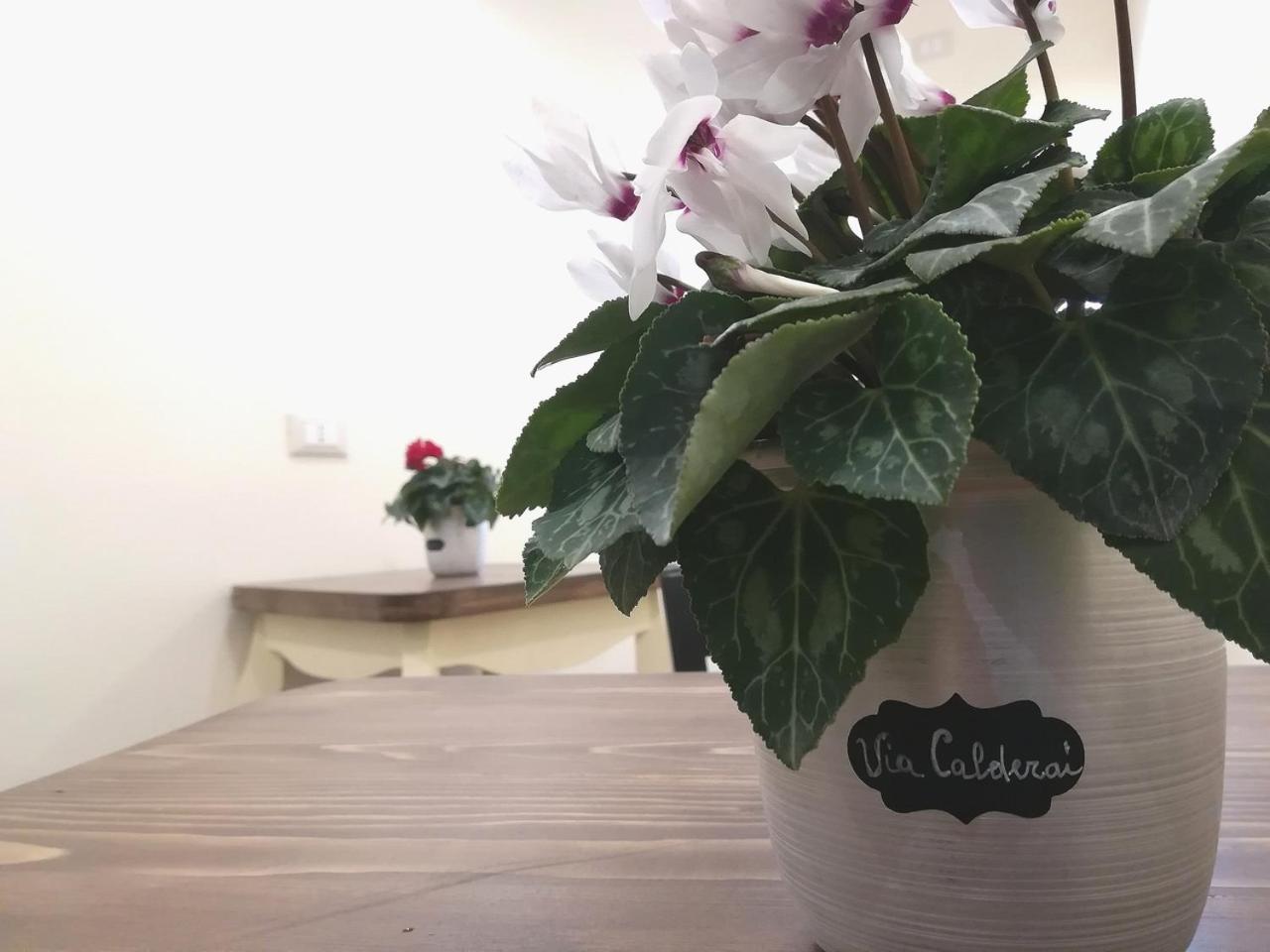 Persiane al Cassaro en Palermo — other