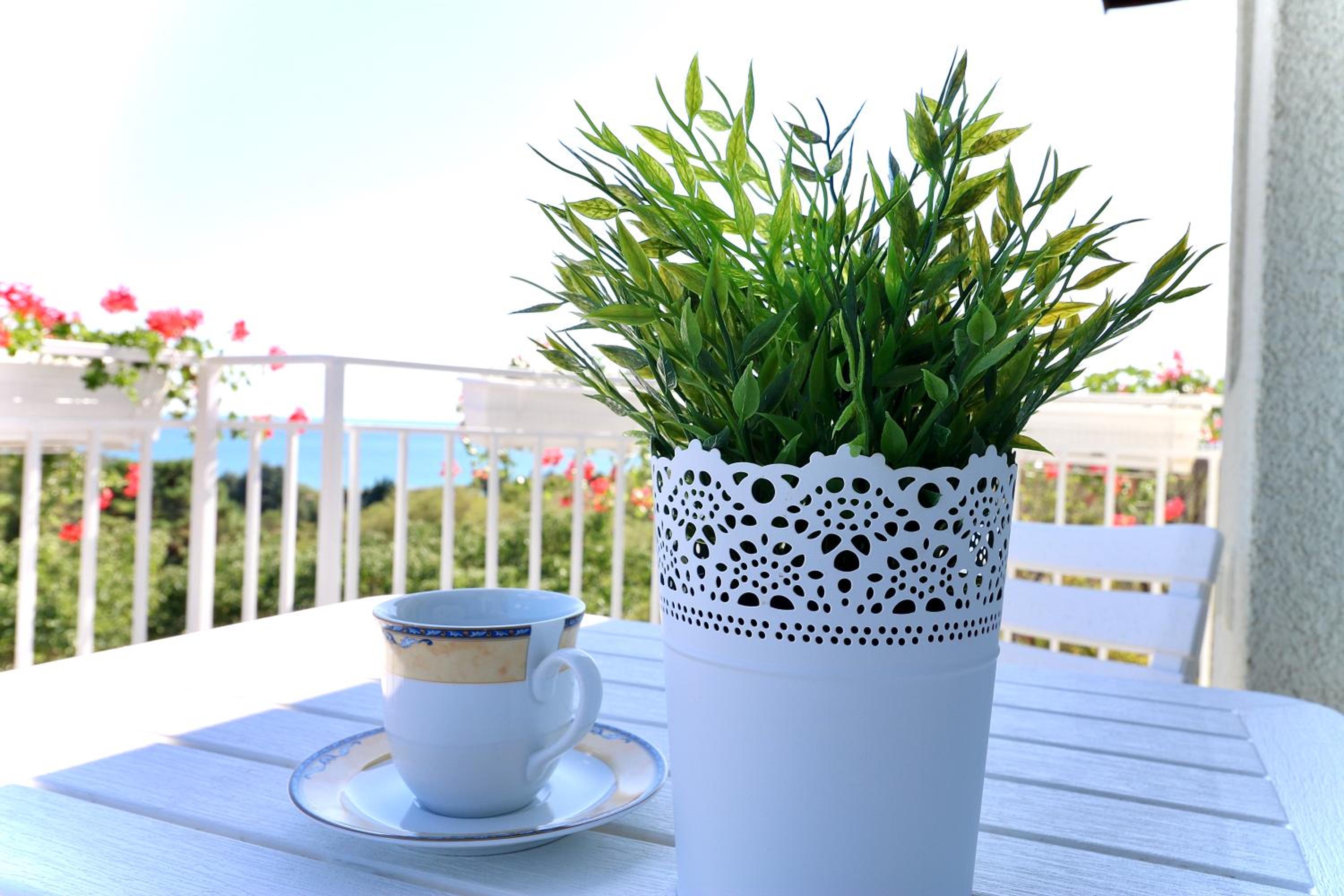 Balcony & Terrace