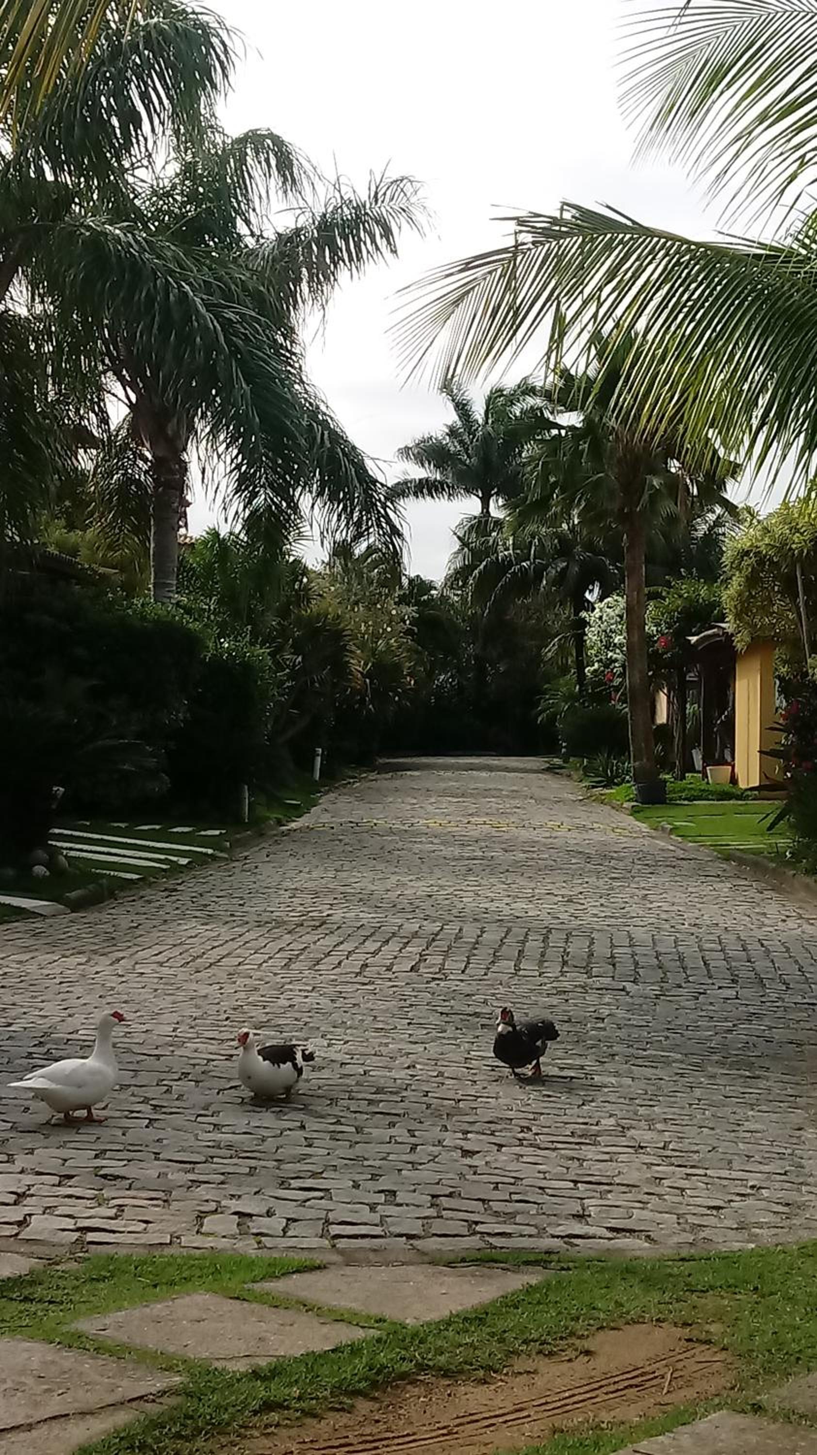 La Tropezina