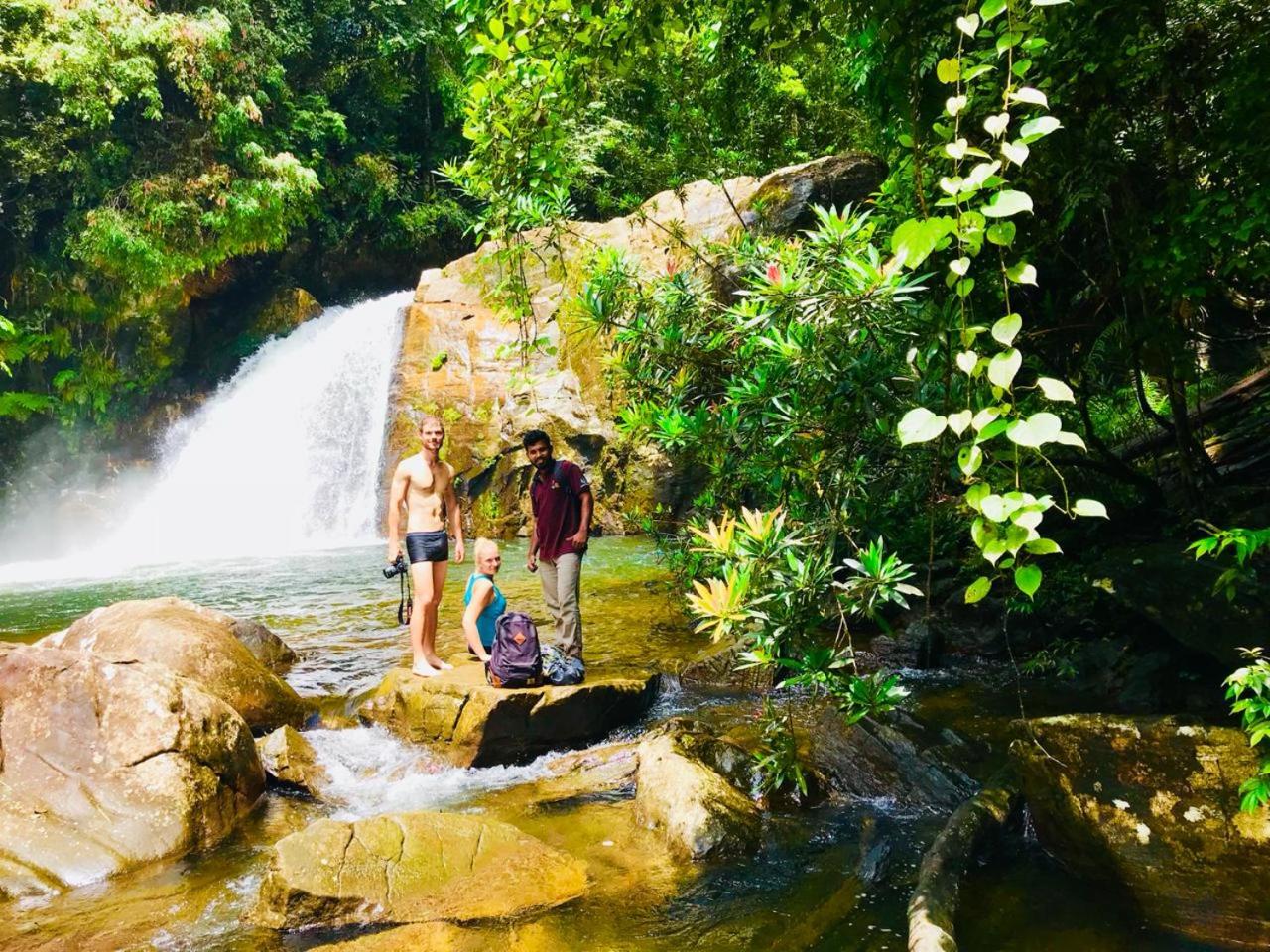 Rainforest Mount Lodge
