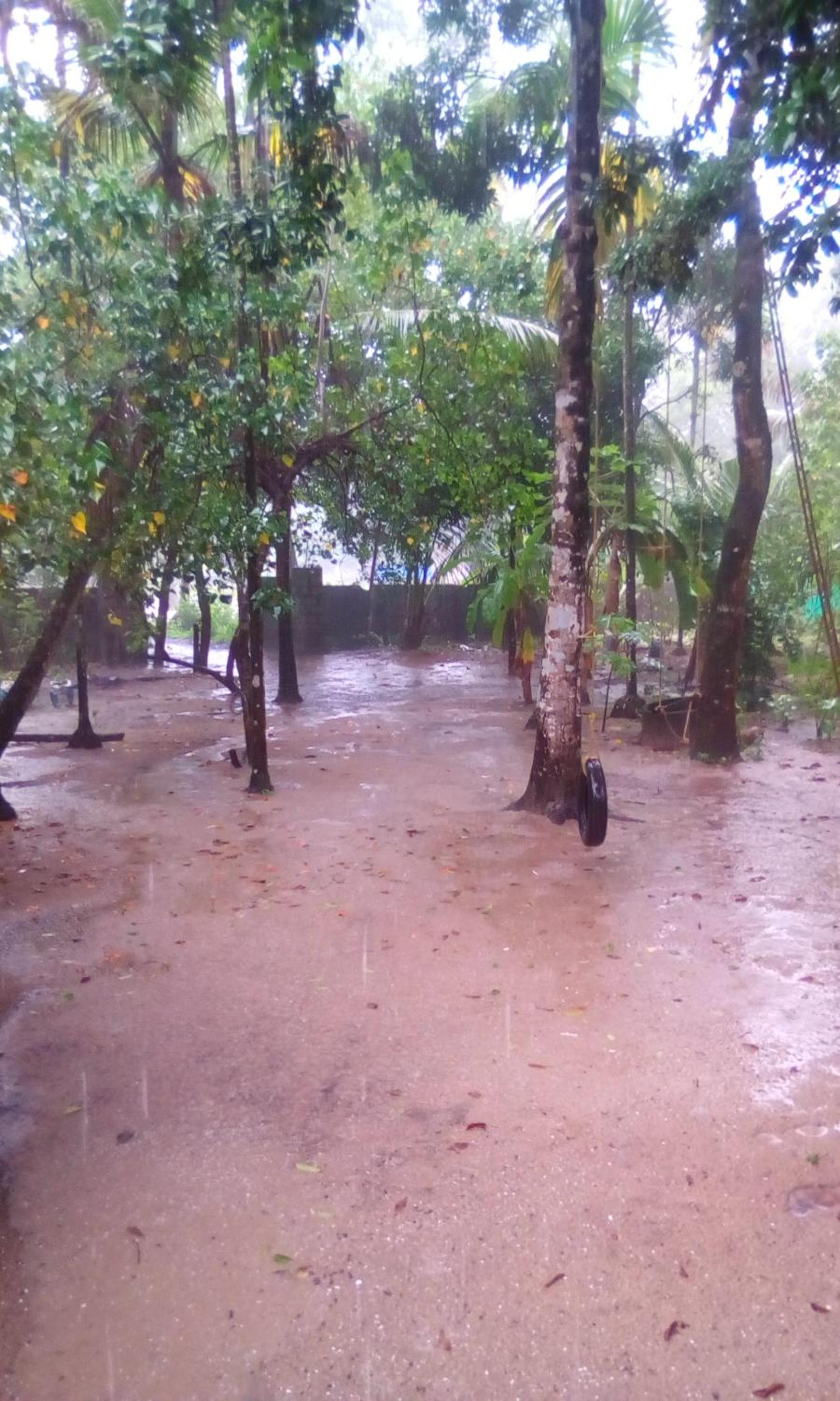 Marari azhiyakathu homestay view 5