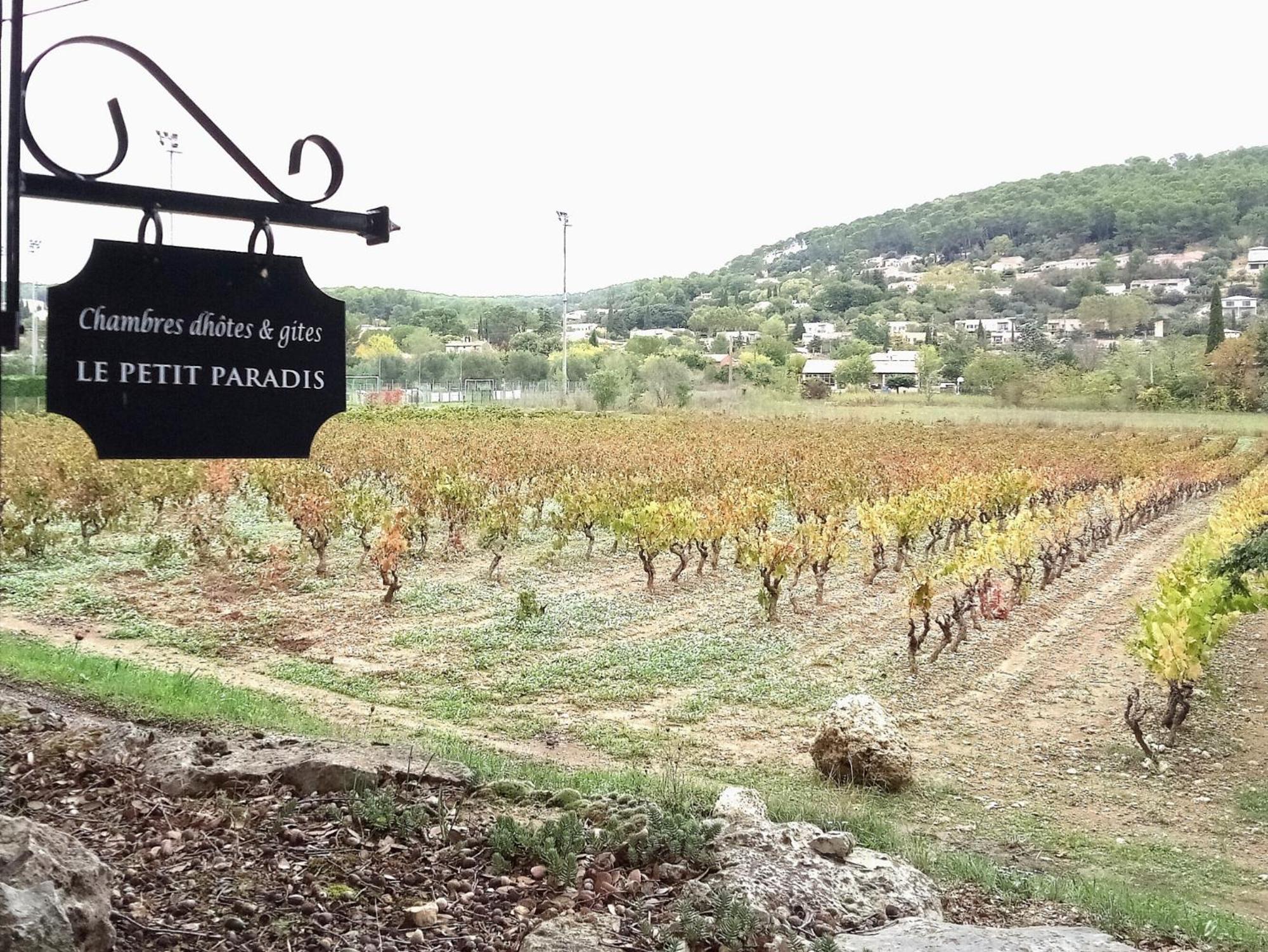 Le Petit Paradis - La Provençale, photo 14