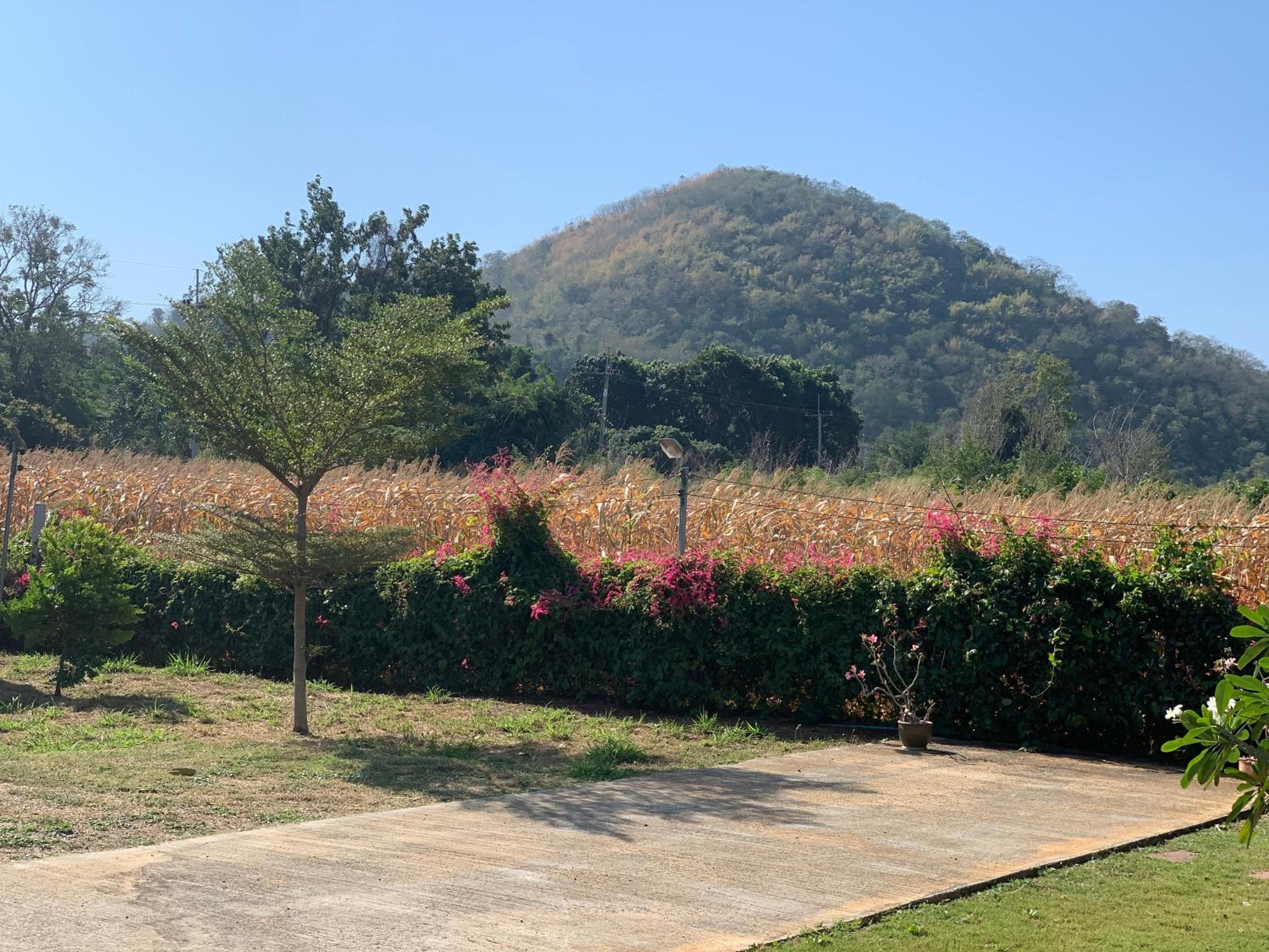 Lek Village Khaoyai view 2