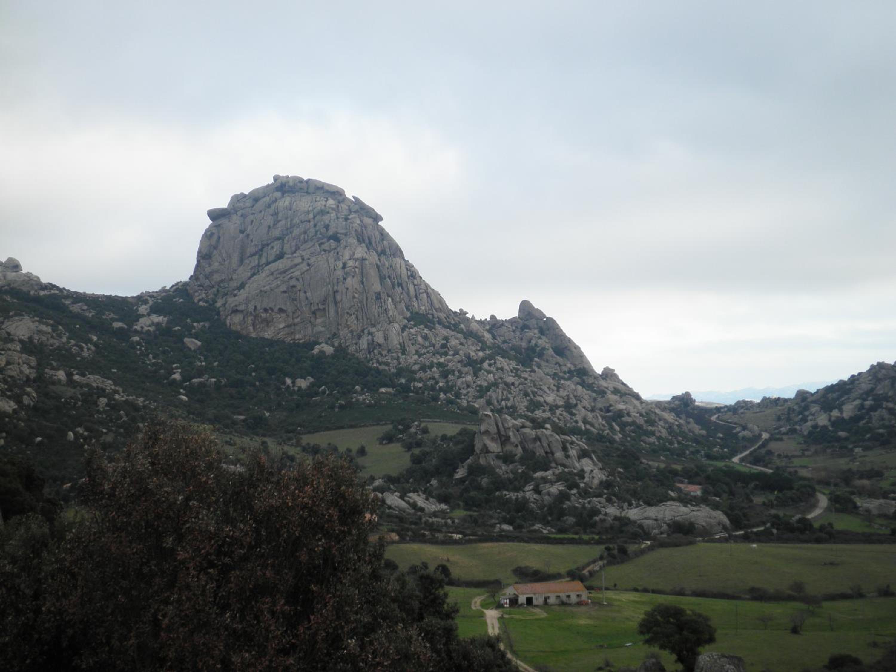 Photo 44