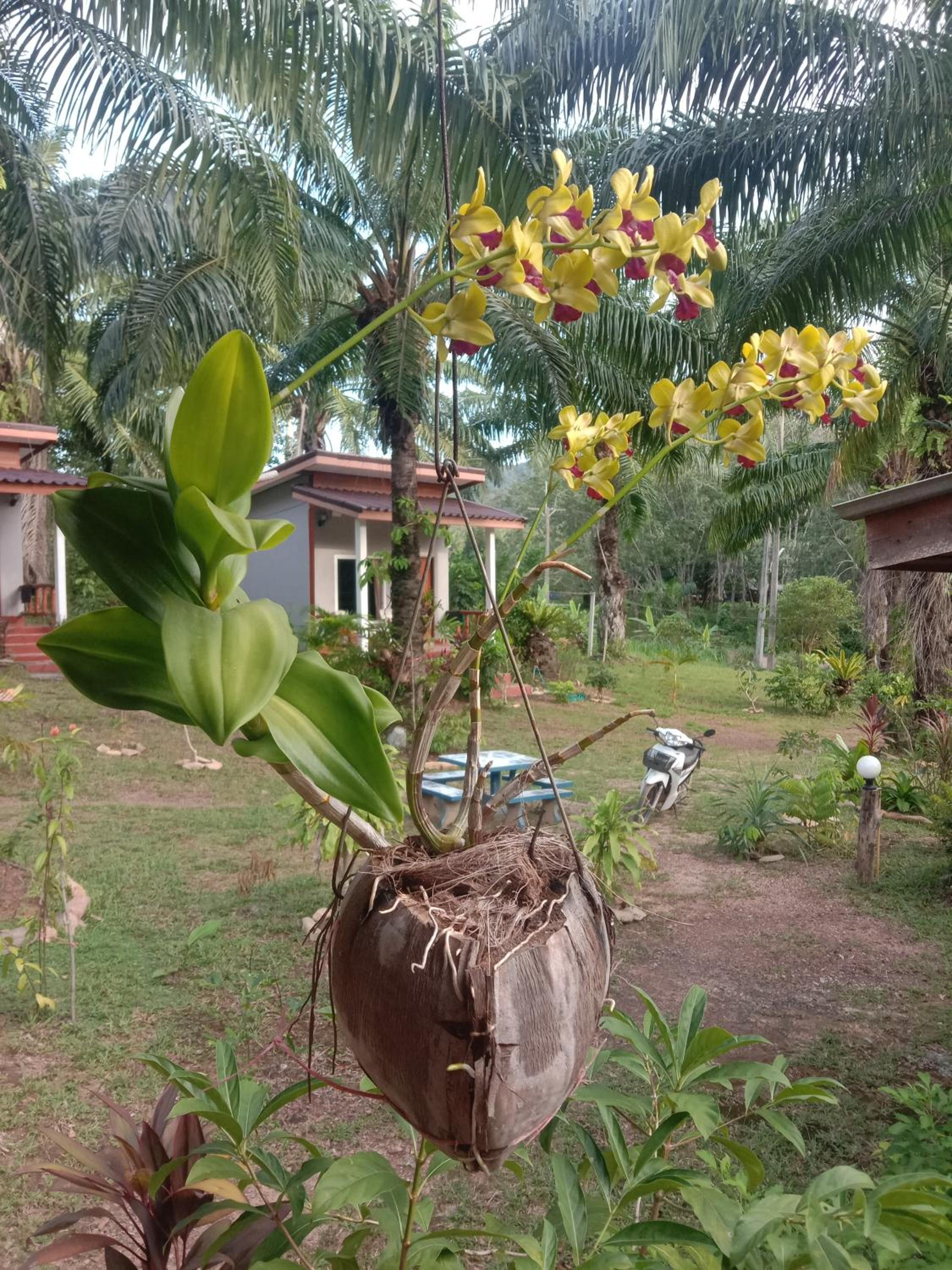 Mada Lanta Mai Keaw
