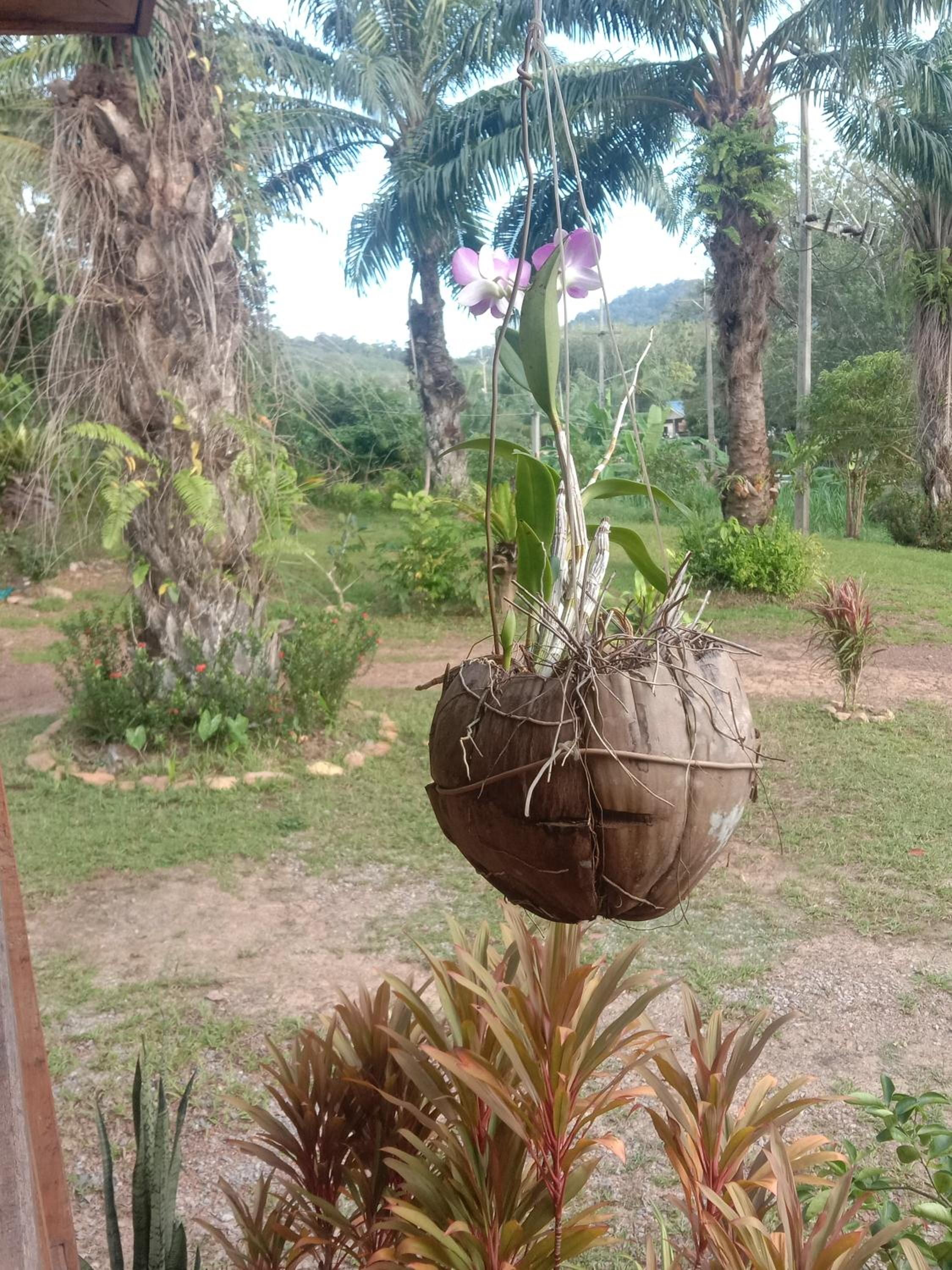 Mada Lanta Mai Keaw