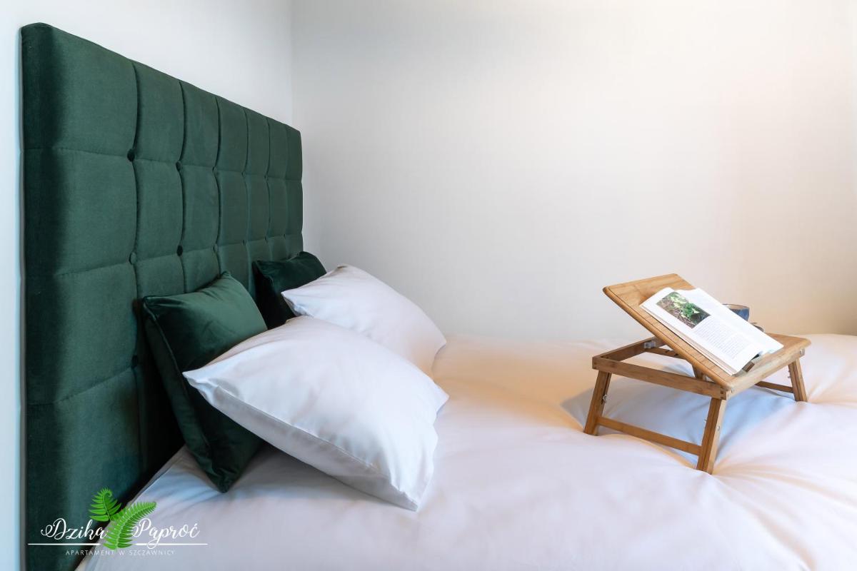 Apartament Dzika Paproć view 4