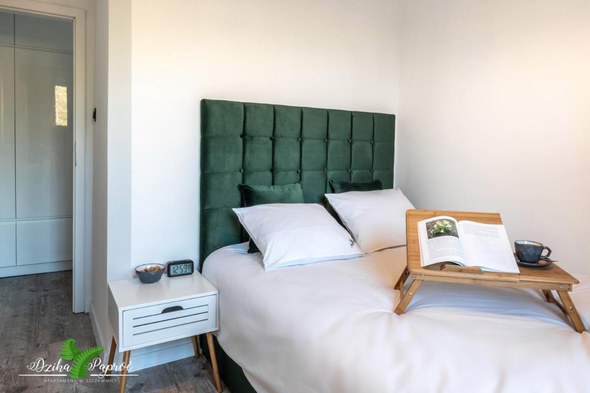 Apartament Dzika Paproć view 5