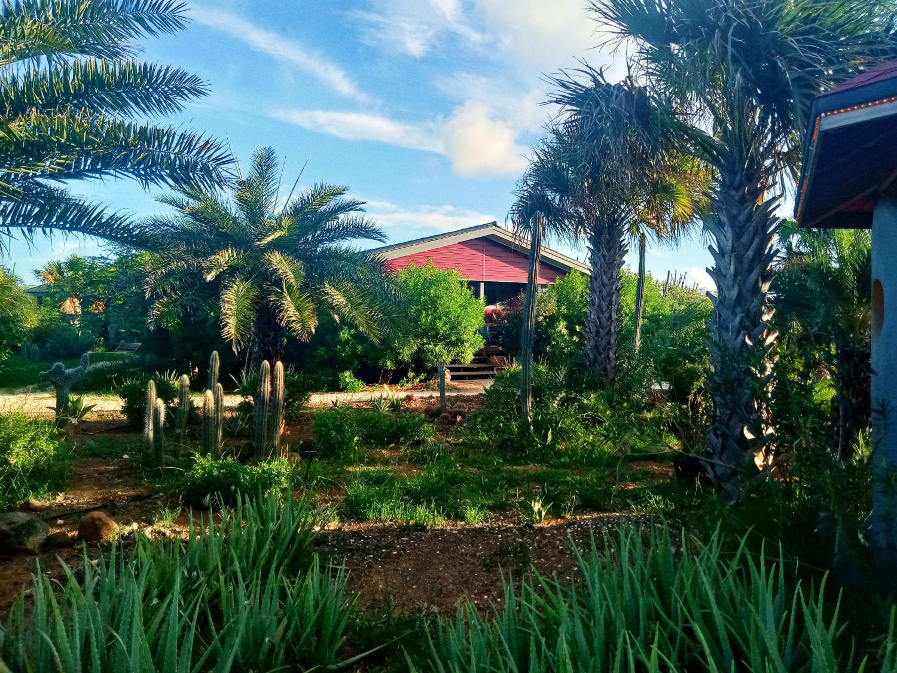 Red Palm Village