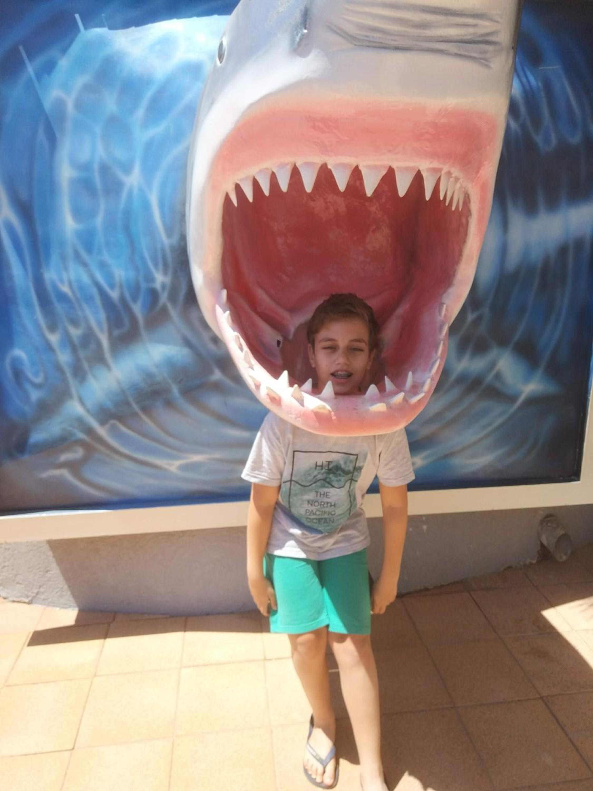 Photo 41