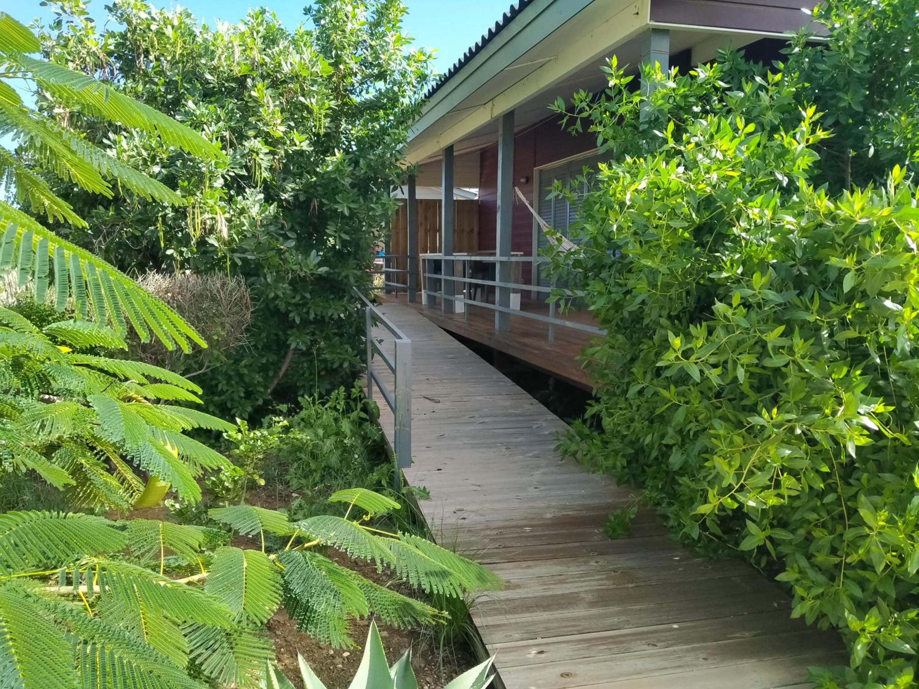 Red Palm Village
