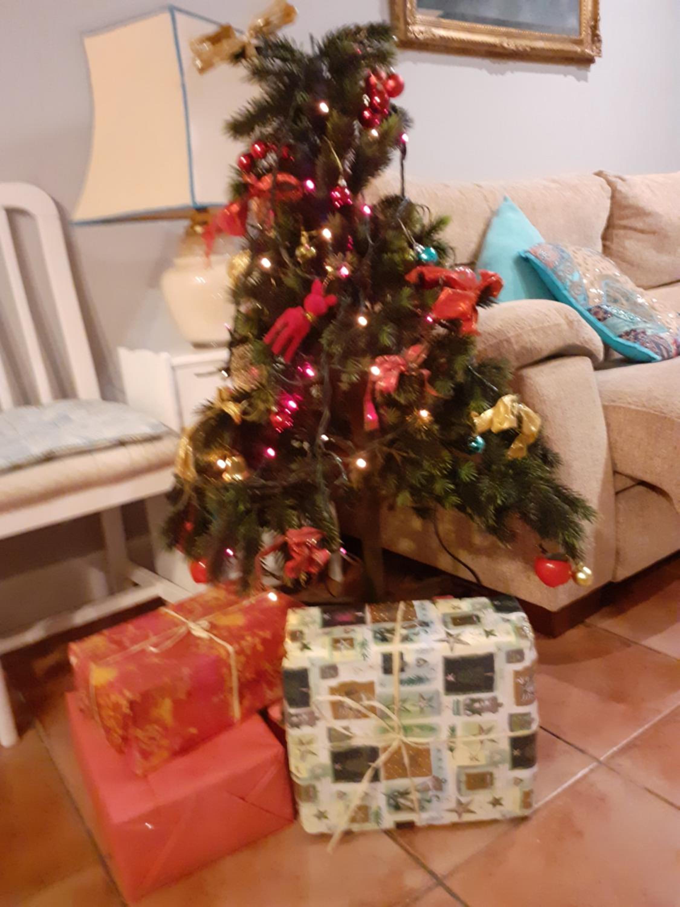 Photo 44