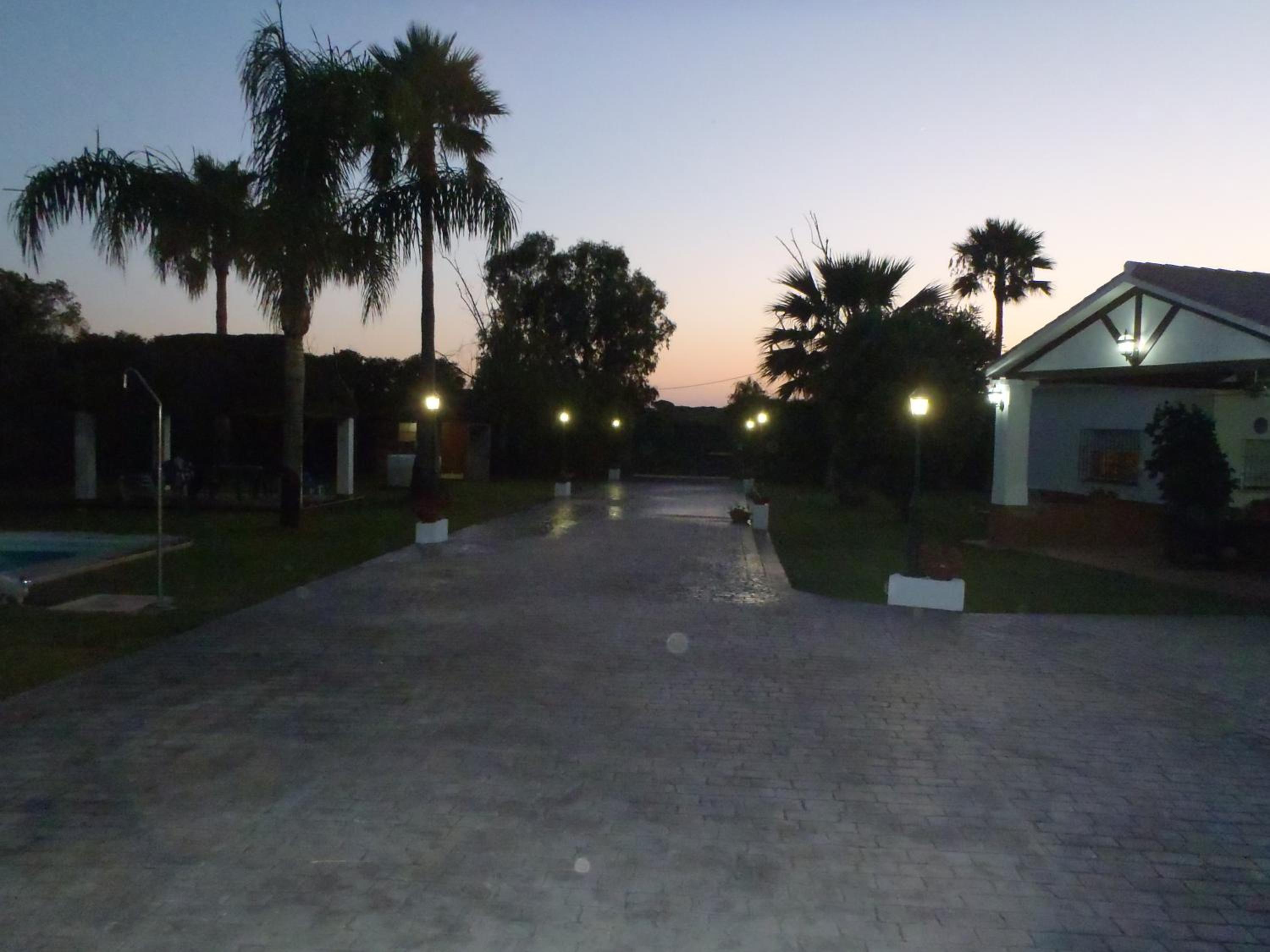 Photo 46
